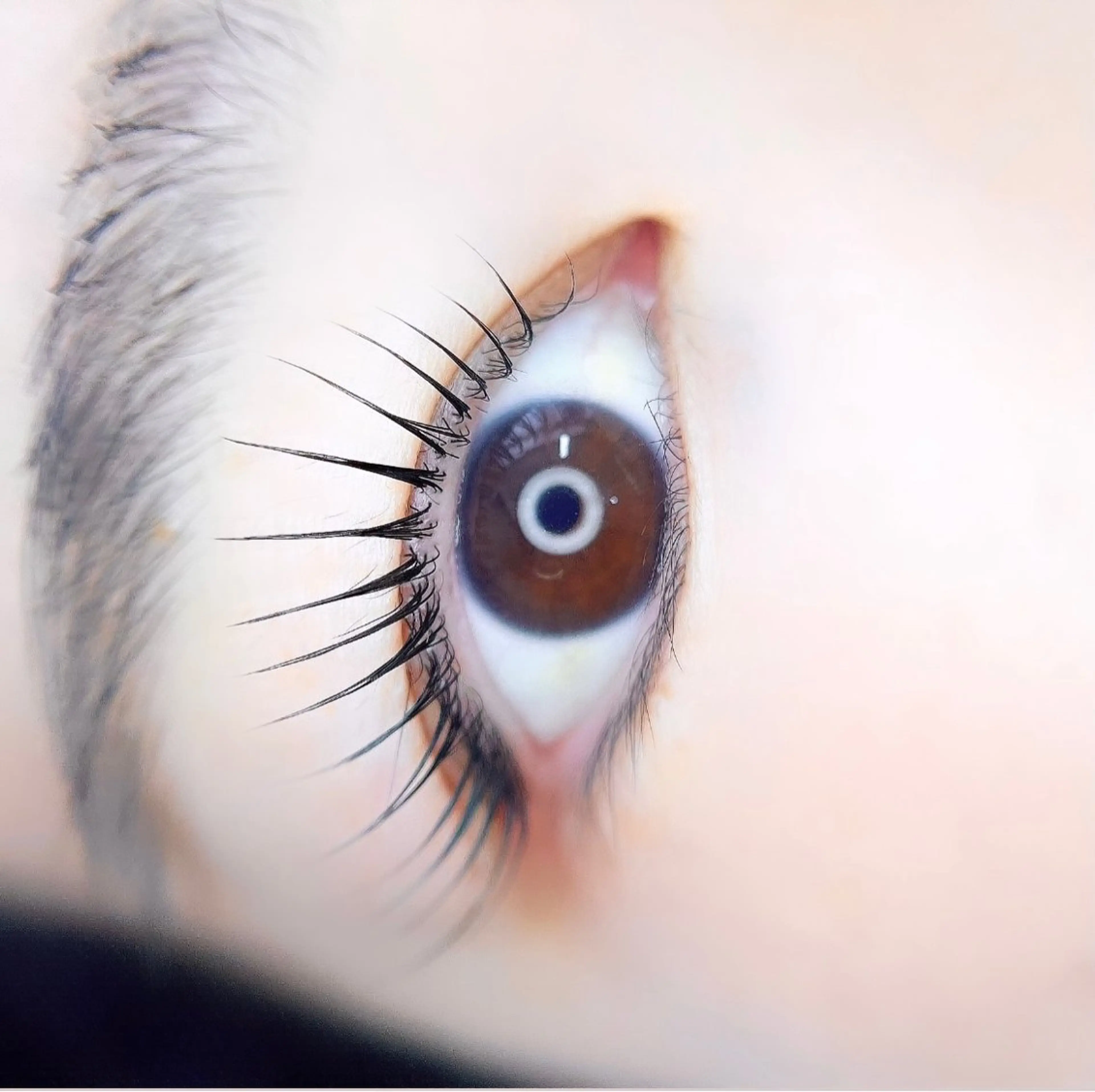 マツエク・マツパ un par un アンパルアン所属・un par unの眉毛・アイブロウイメージ