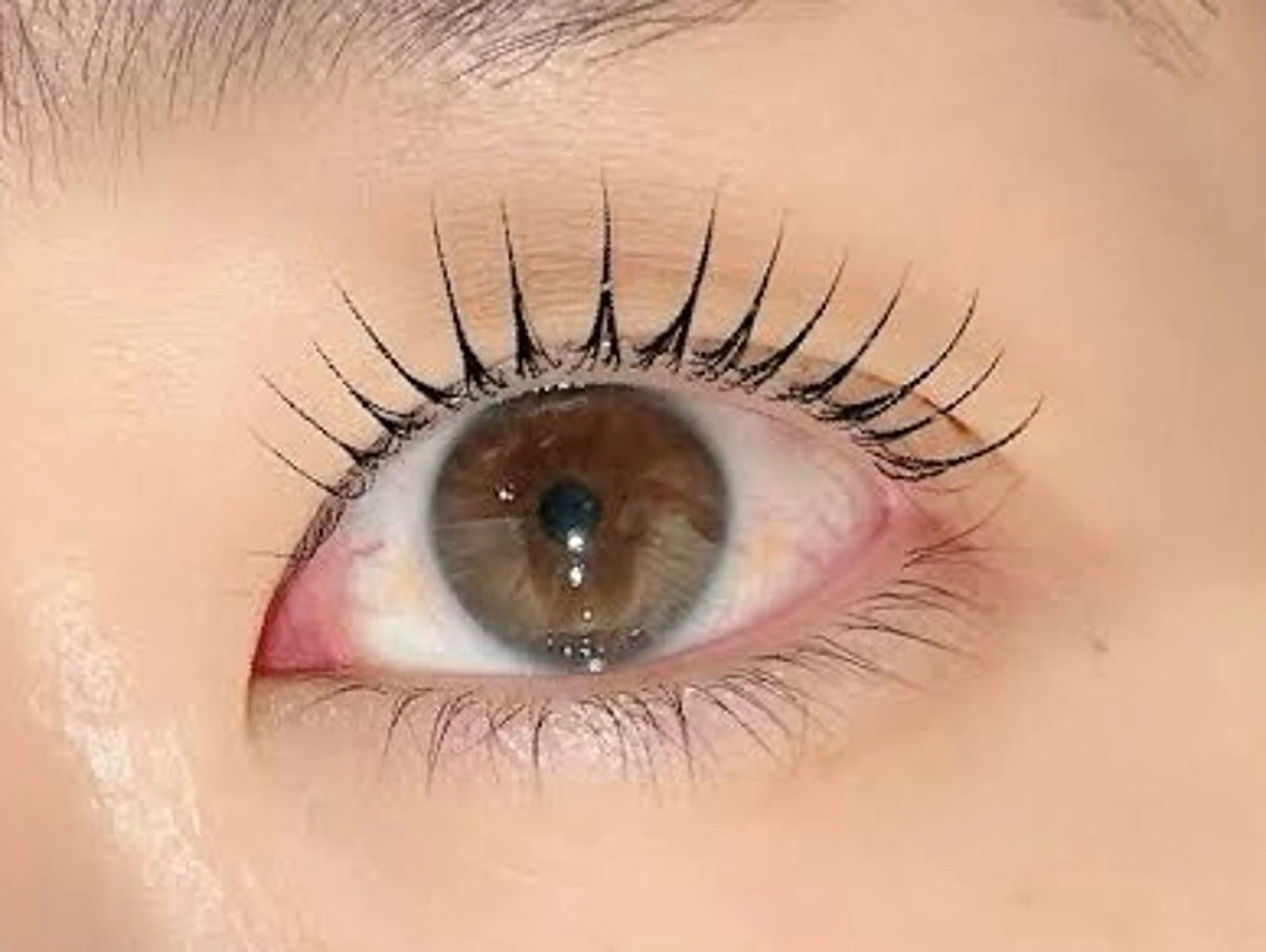 マツエク・マツパ パリジェンヌラッシュリフト まつ毛サロンEyesha所属・🌿‬まつ毛サロン Eyesha🌿のマツエク・マツパデザイン