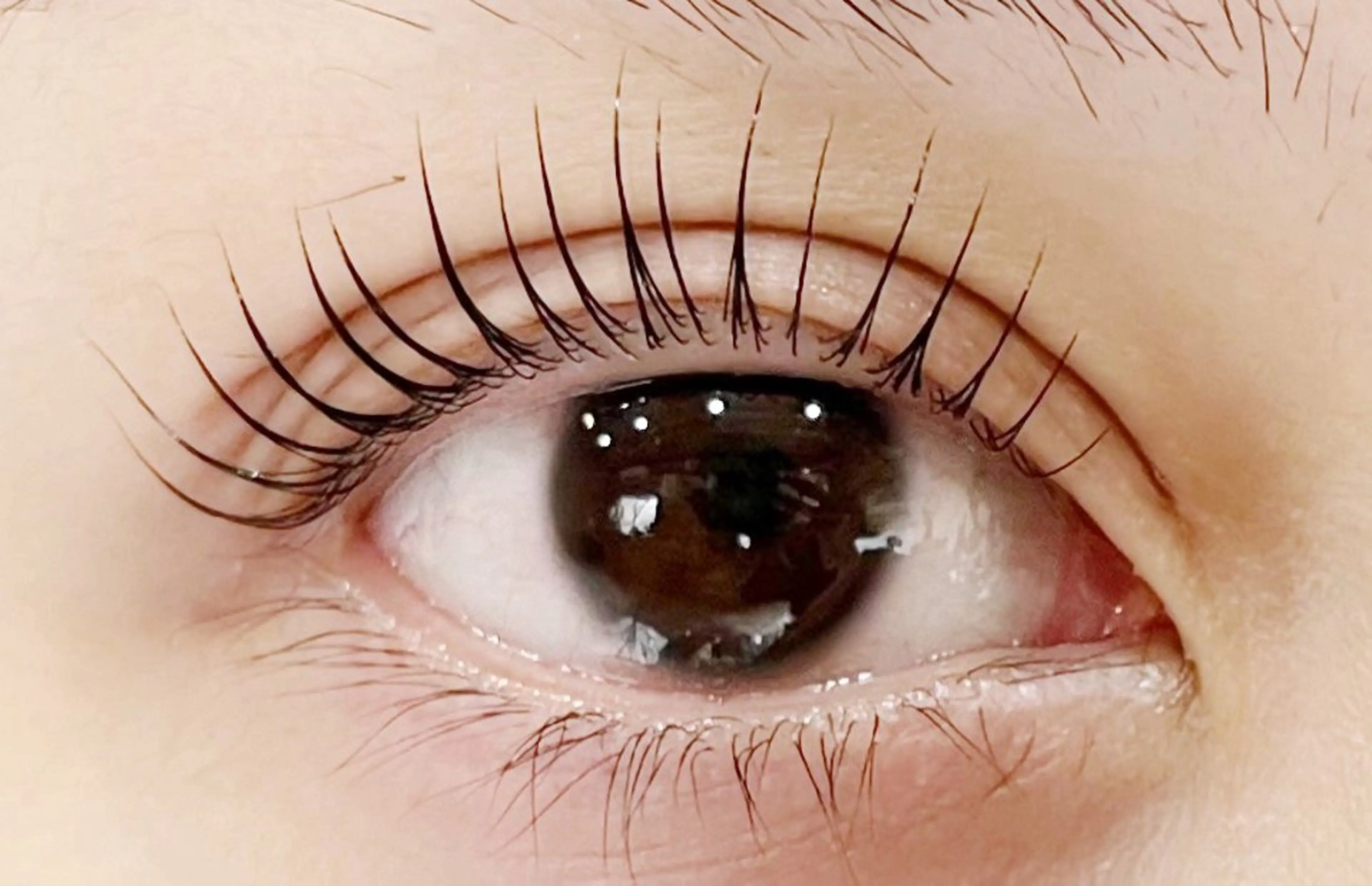 マツエク・マツパ Eyelash Luaのマツエク・マツパデザイン