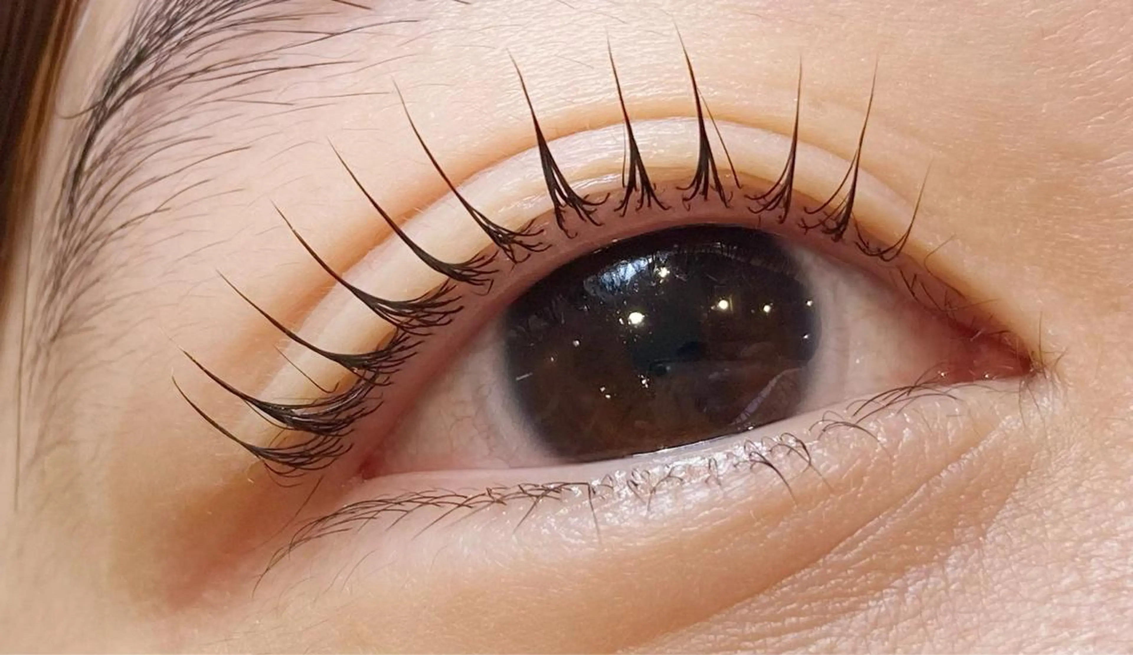 マツエク・マツパ LASH BAR所属・LASH BAR🫧 マエハラのマツエク・マツパデザイン