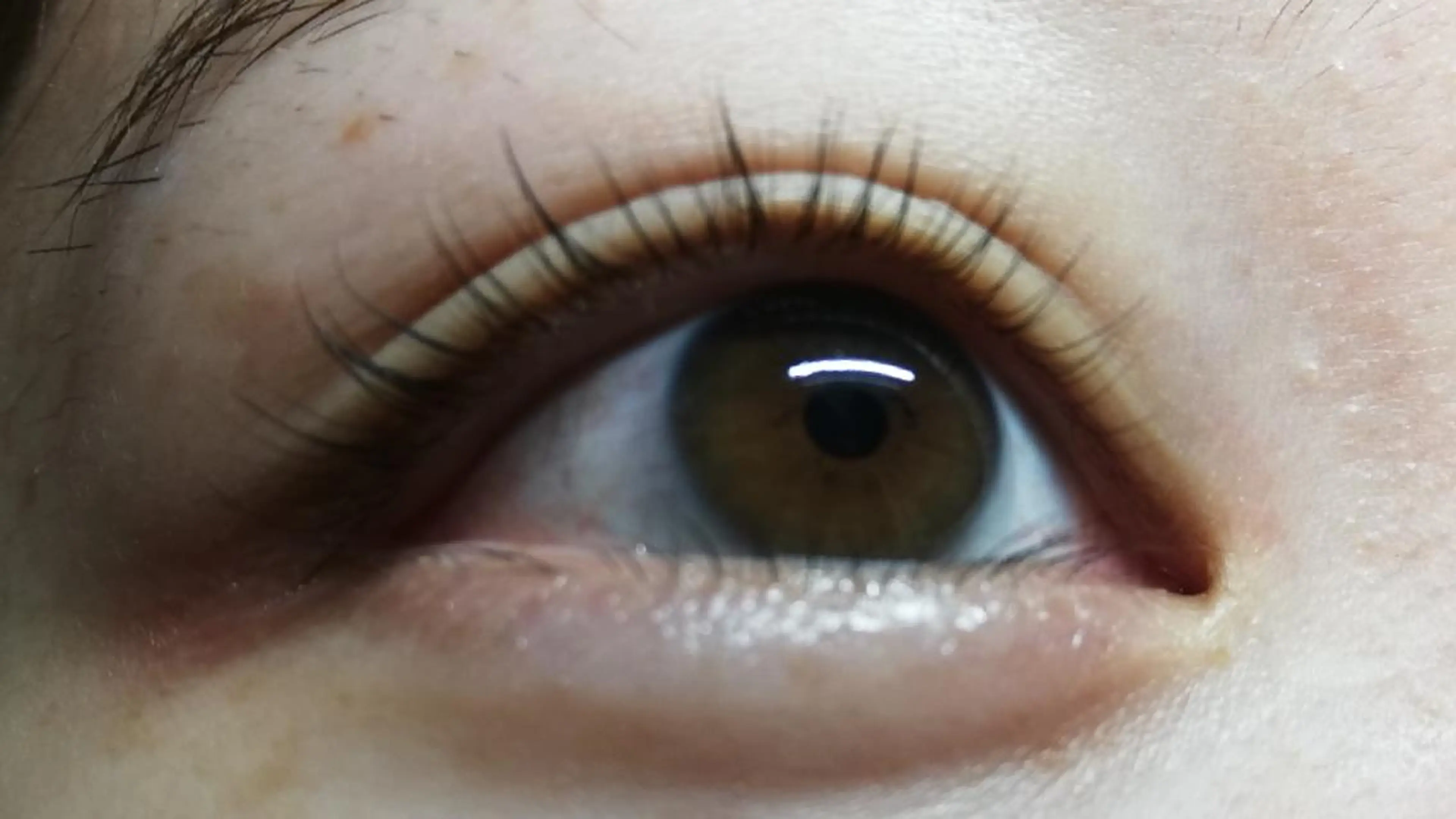 マツエク・マツパ angelux 所属・完全個室サロン🌹 angelux🌹のマツエク・マツパデザイン