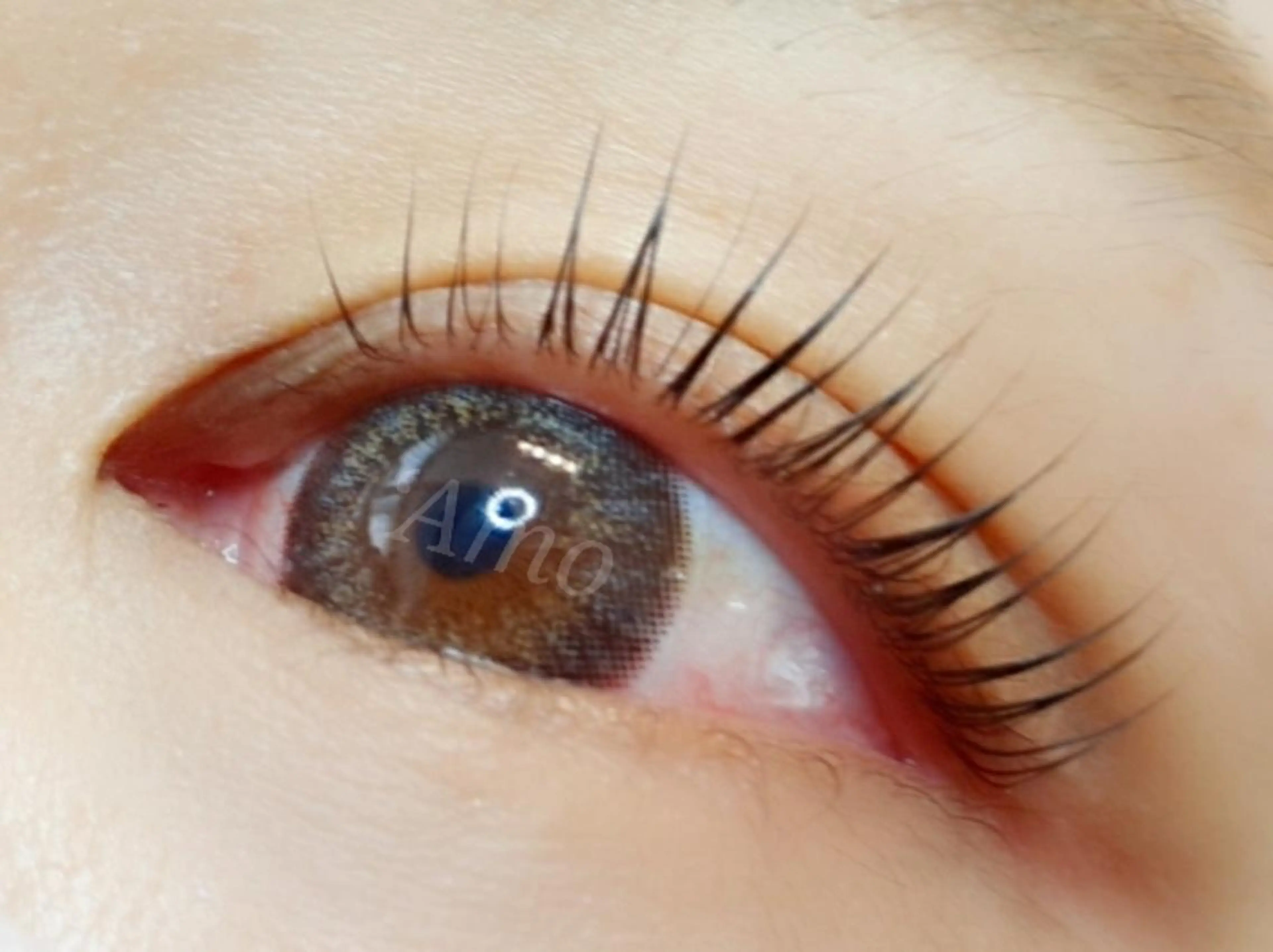 マツエク・マツパ ‘Amo アモのマツエク・マツパデザイン