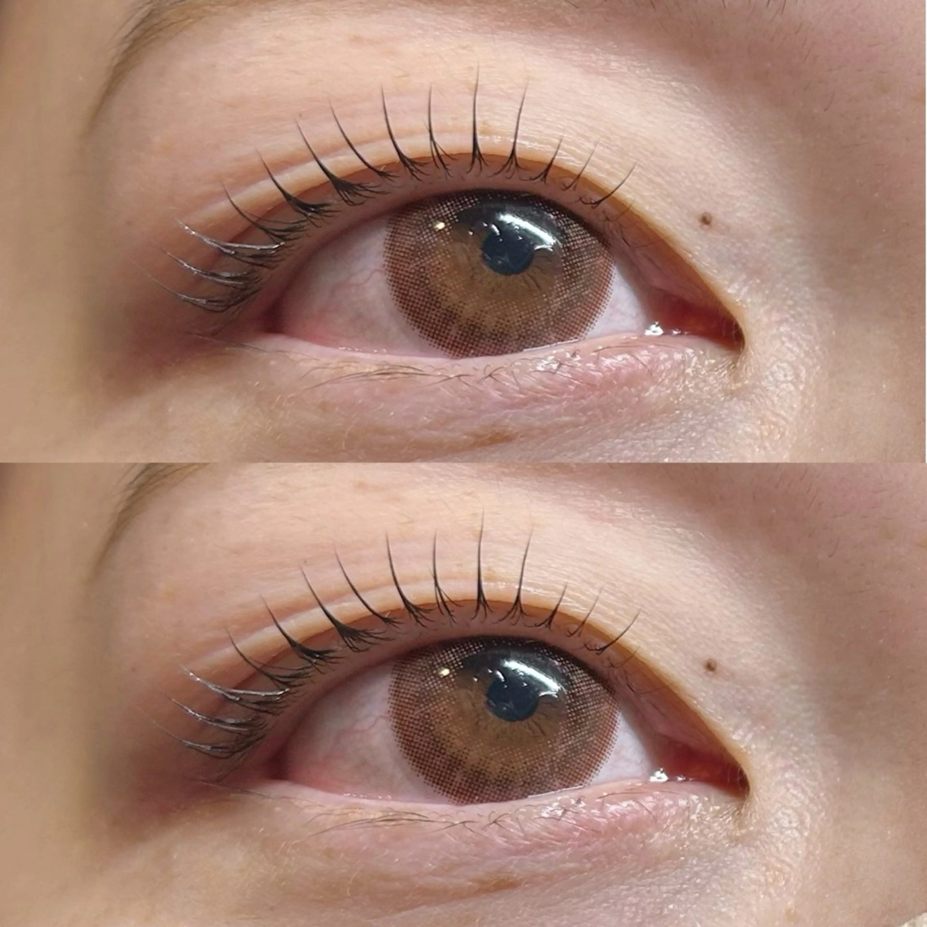 マツエク・マツパ マツパ Rise 🎀のマツエク・マツパデザイン