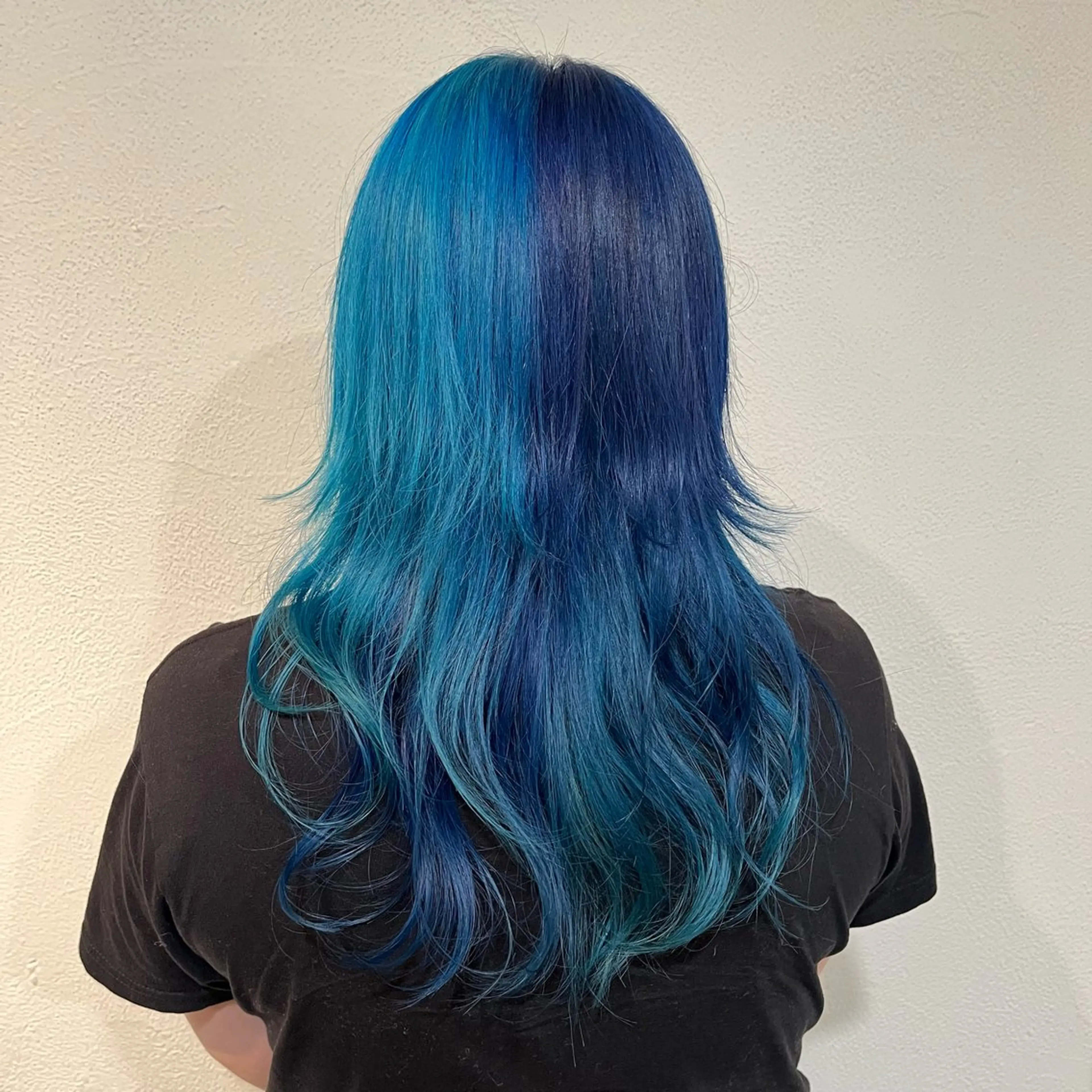 ロング カラー ブルーカラー パ ルのヘアスタイル