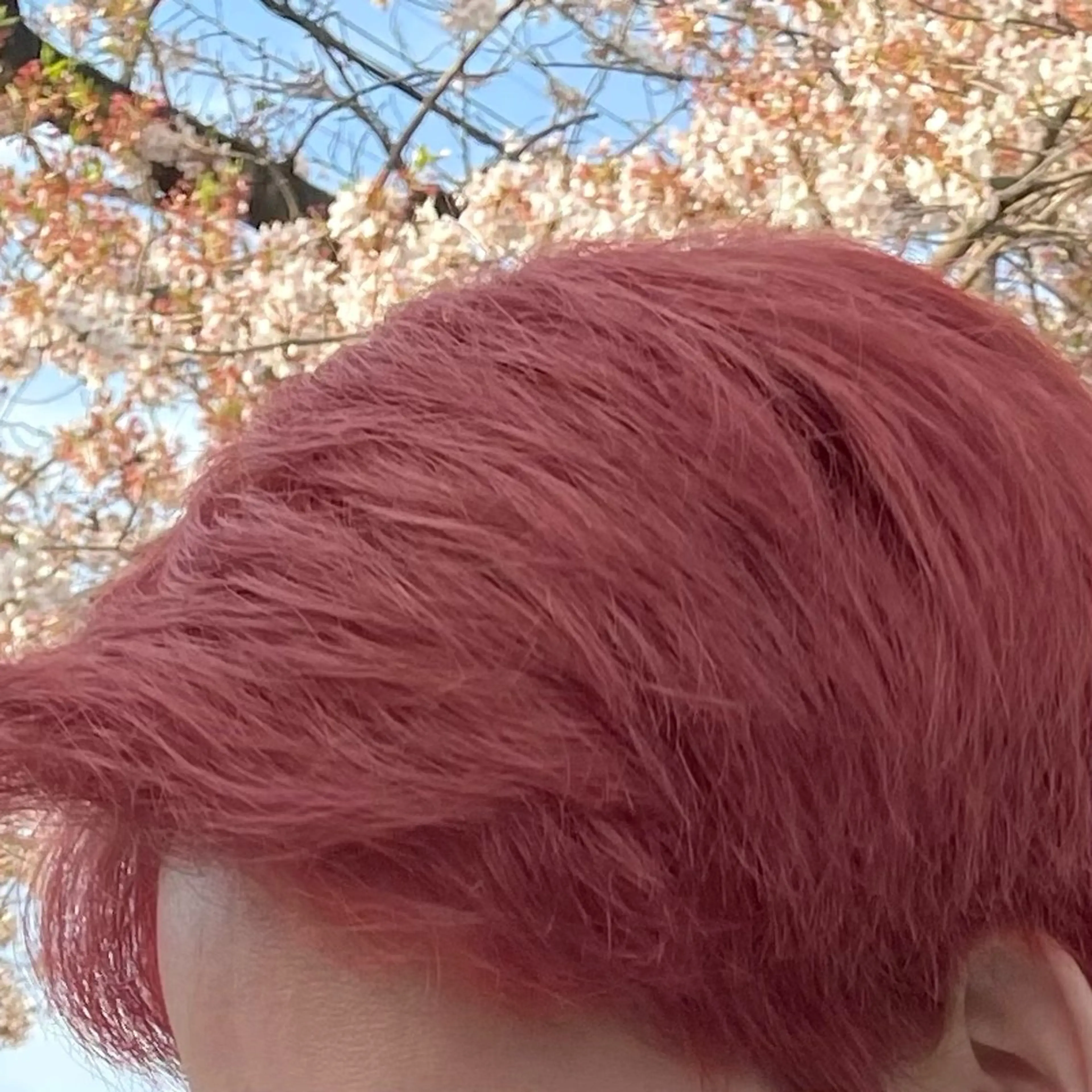 カラー メンズ 🍑暖色カラー／ アレンジ／真希🎀のヘアスタイル