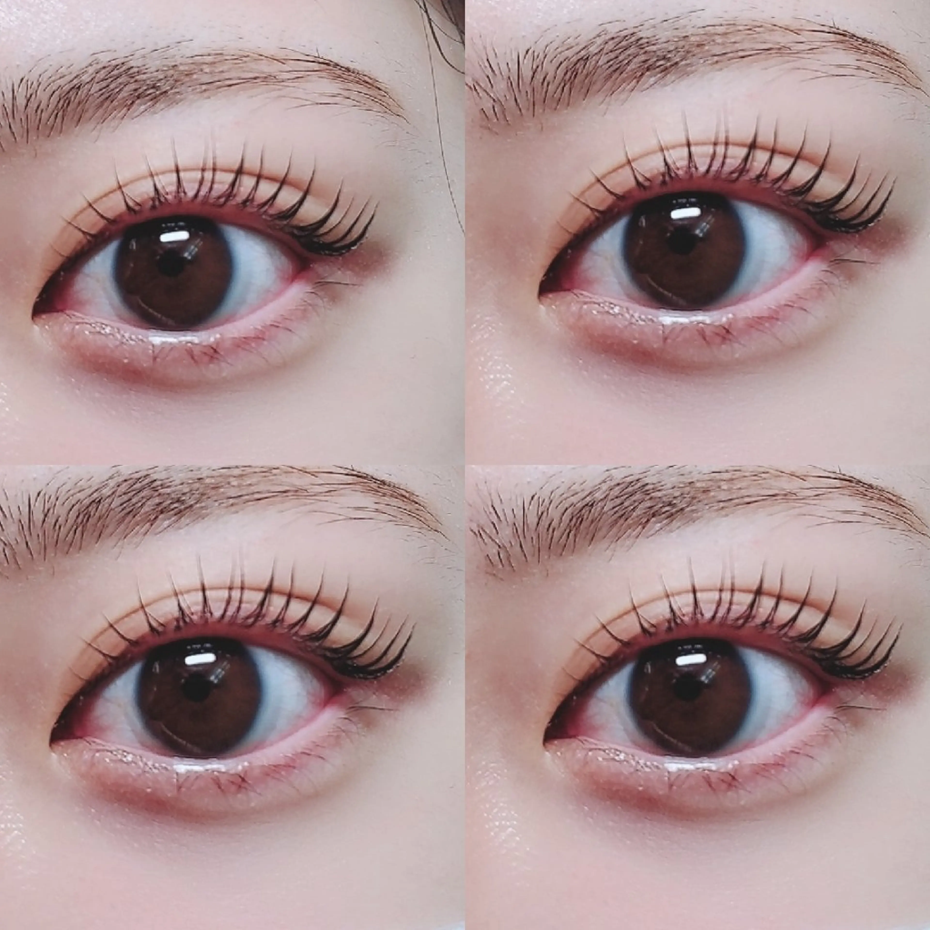 マツエク・マツパ eyelashsalon   rocolush 所属・★Hoshino★ 新宿西口 ·͜·🌟のマツエク・マツパデザイン