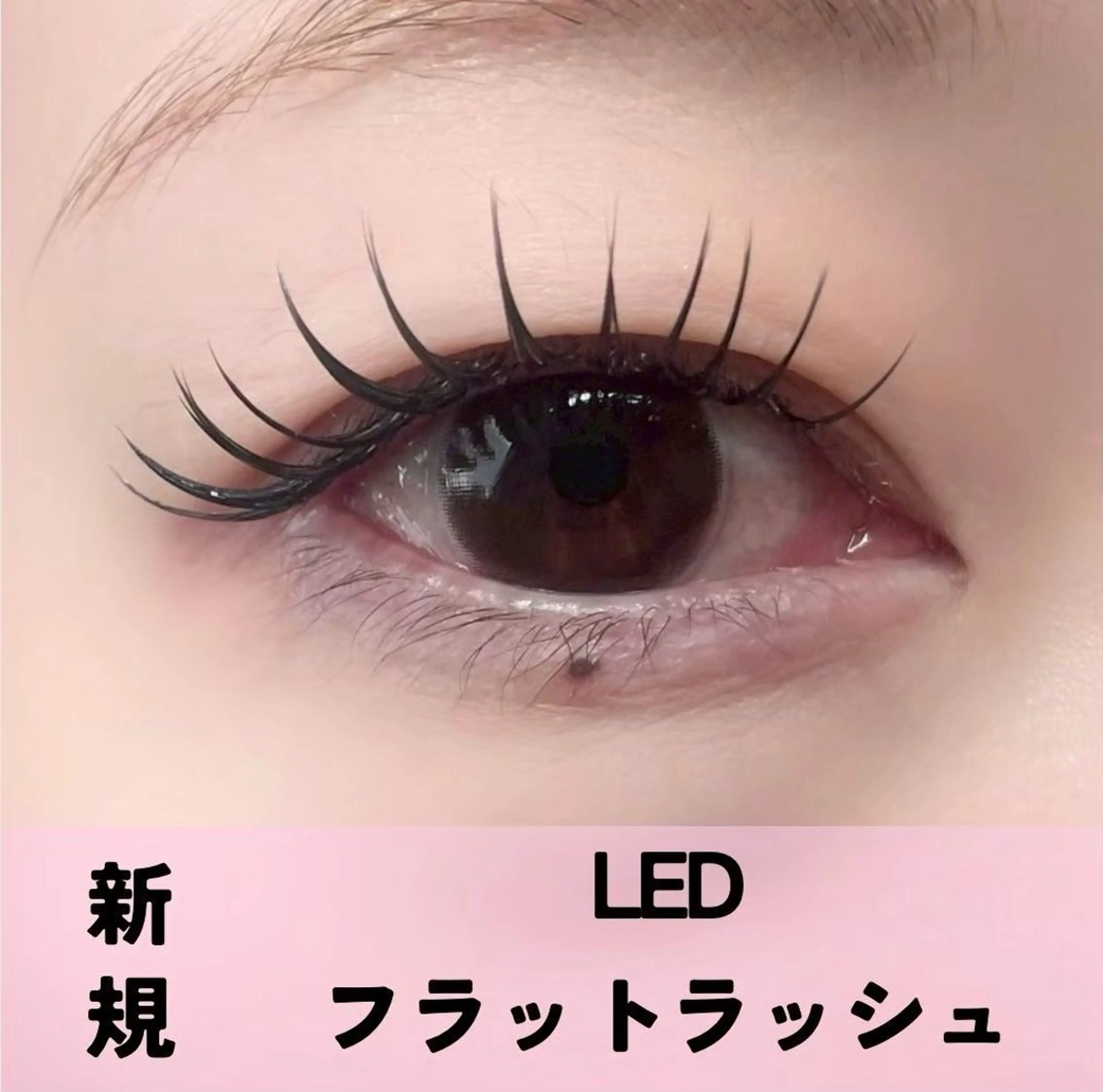 【10月限定】*.゜｡:+*. LED flat lash~80本 *.゜｡:+*.の写真