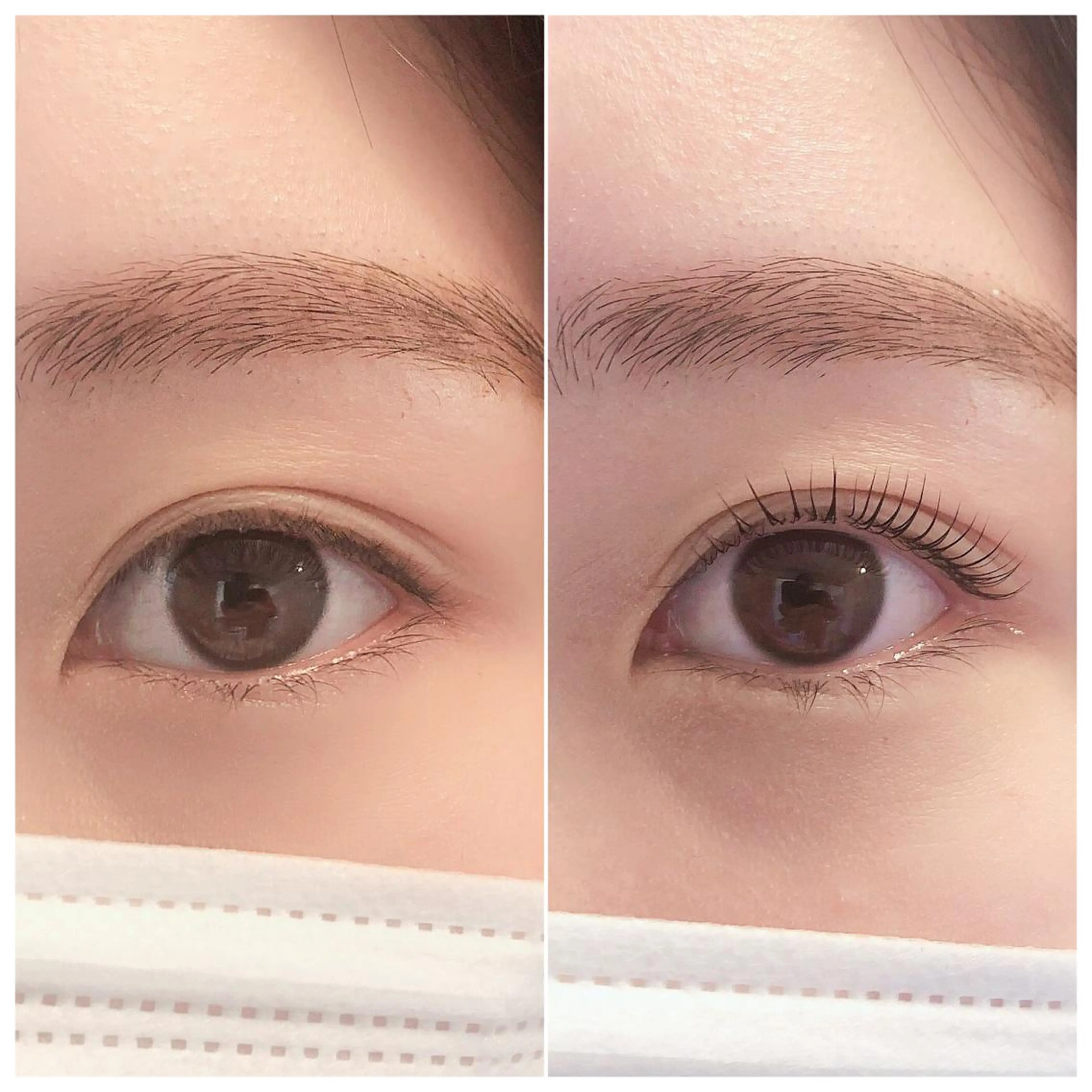 マツエク・マツパ マツパ Aube l .nord所属・Aubel.nord 《オーベルノール》のマツエク・マツパデザイン