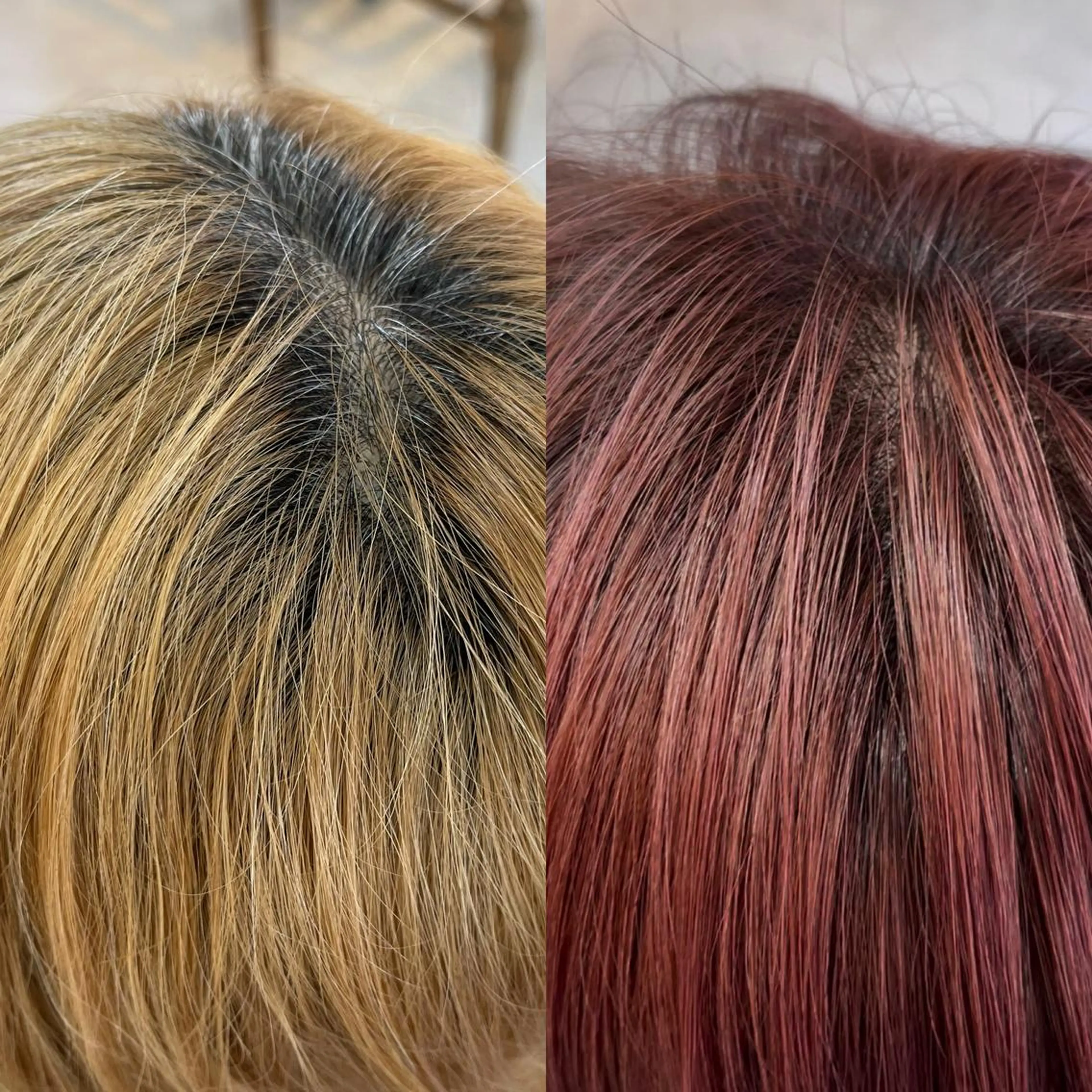 ショート カラー カット ヘアカラー トリートメント MARDI GRAS 蘭丸のヘアスタイル