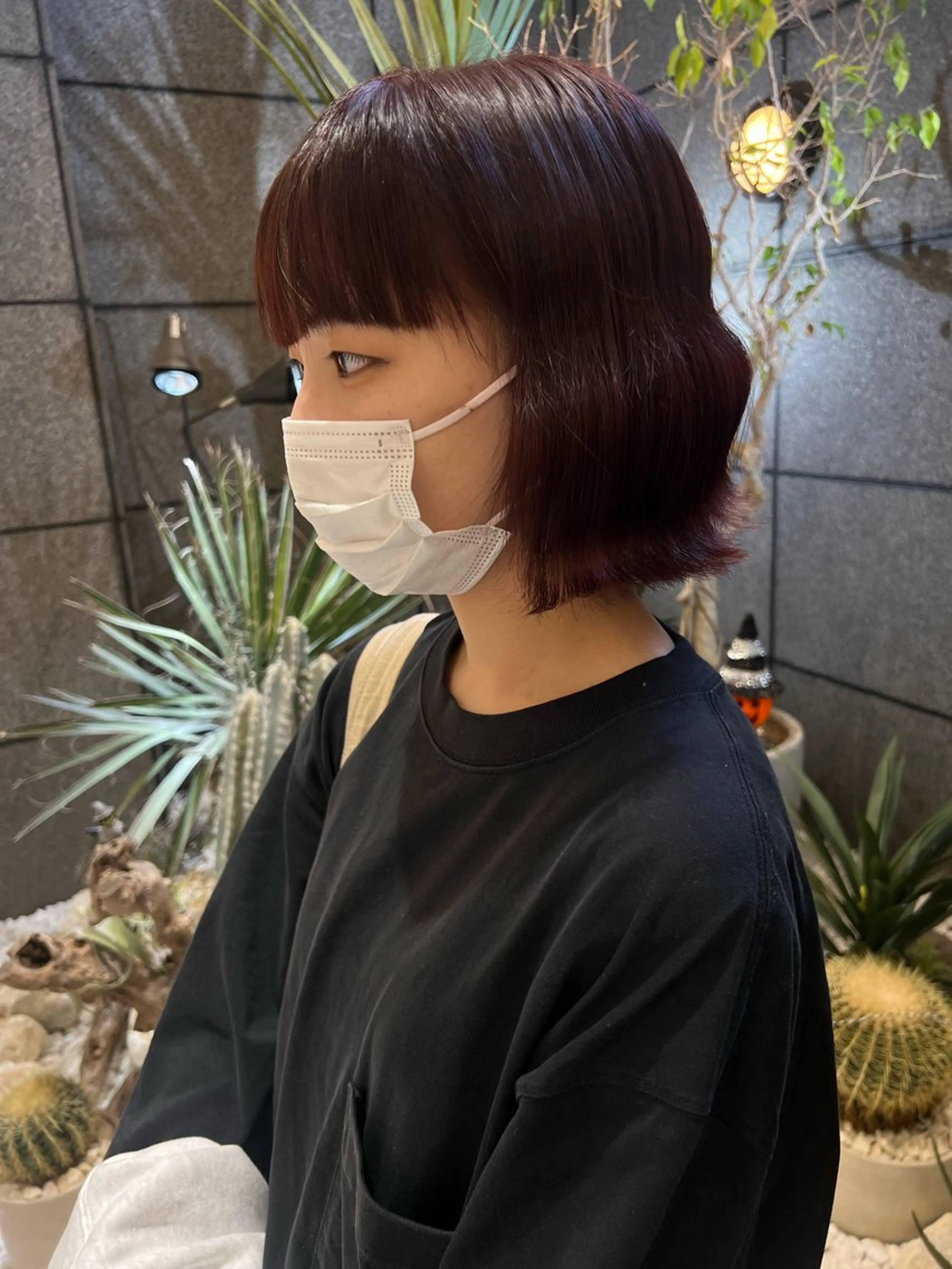 ショート カラー レッドカラー 酸性ストレート/ カスミ🩰のヘアスタイル
