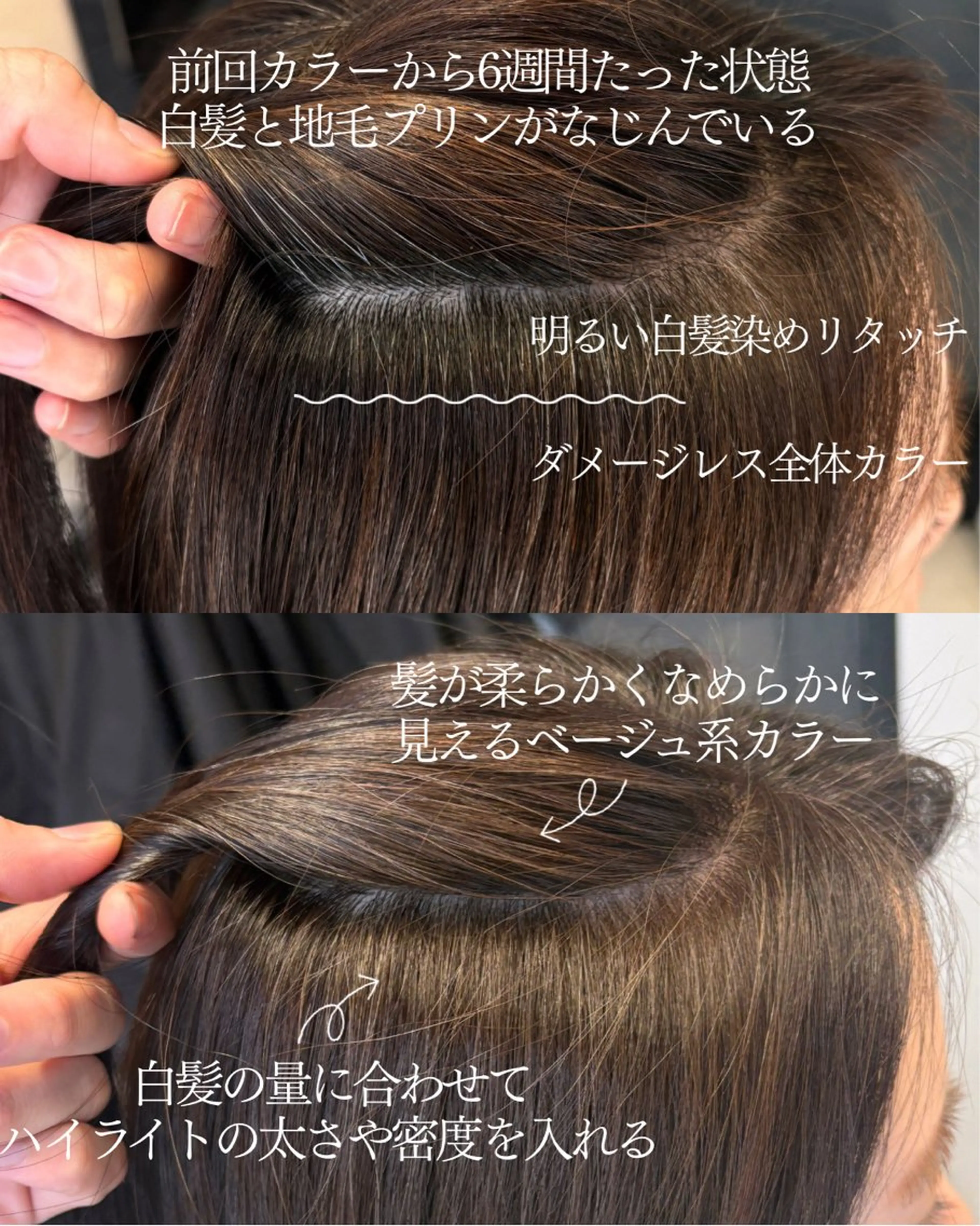 ミディアム カラー ハイライトカラー ハイライト カット ヘアカラー DX SHARE SALON所属・matka白髪ぼかし 大人ヘア/KEIKOのヘアスタイル