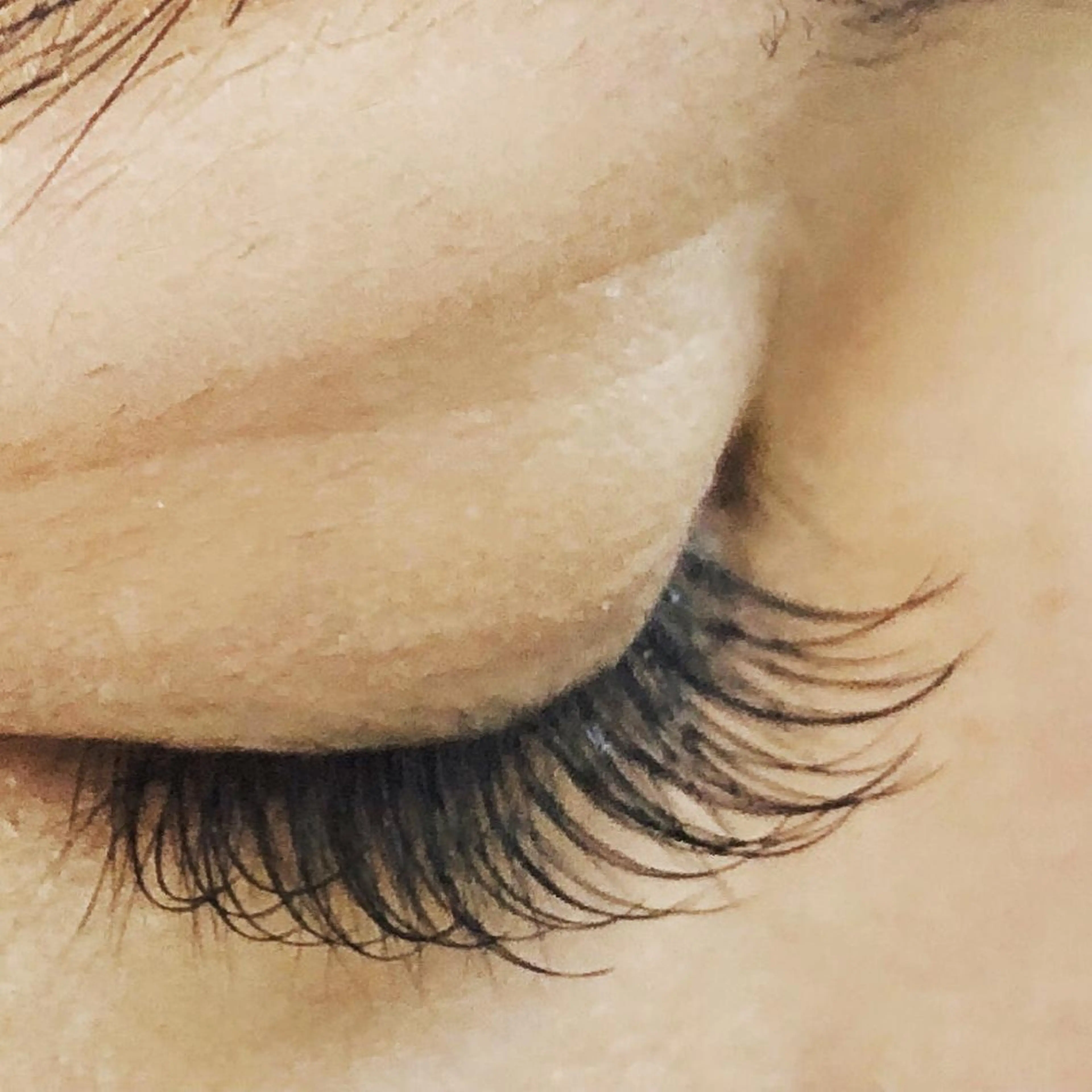 マツエク・マツパ まつげ眉毛サロン MILKの眉毛・アイブロウイメージ