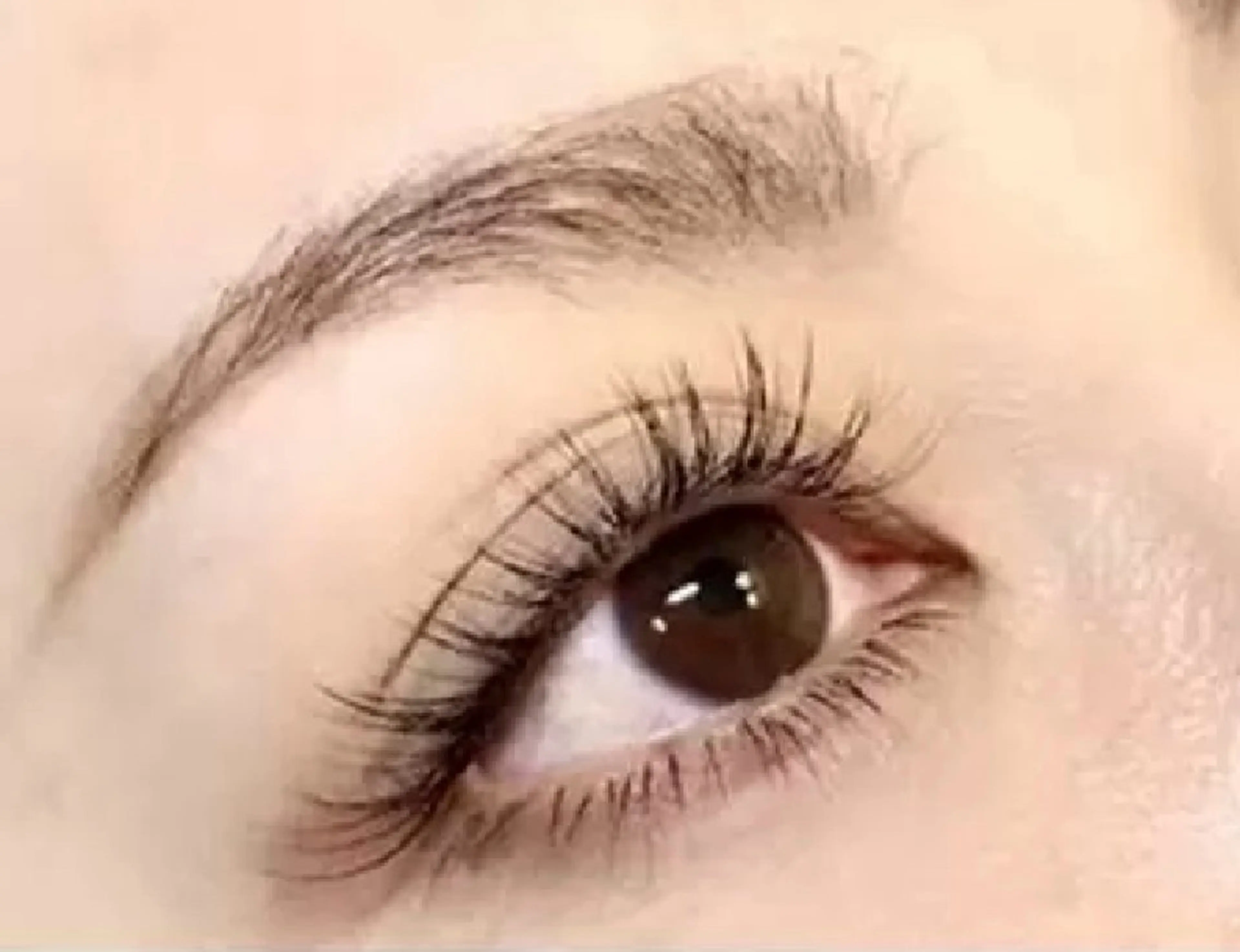 ボリュームラッシュ✨80束✨の写真