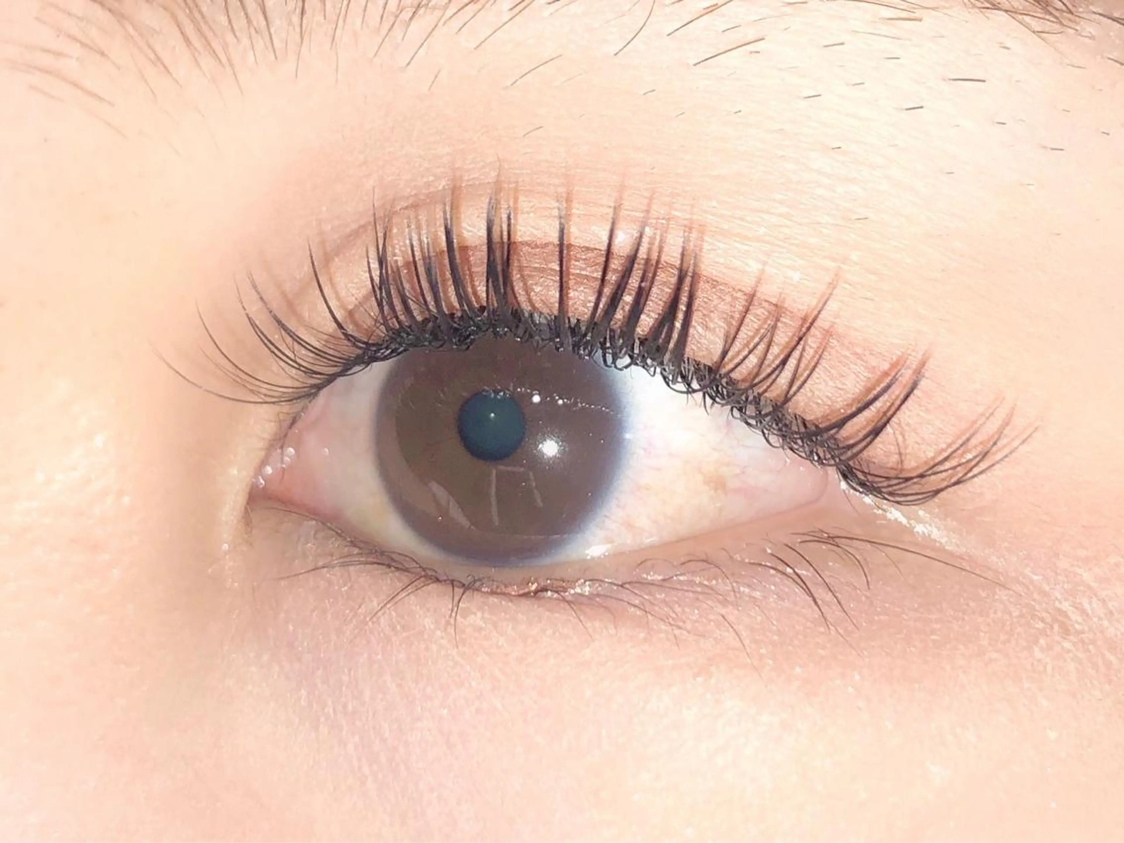 マツエク・マツパ フラットラッシュ アップワードラッシュ 眉毛専門店brow art上野店 阿部の眉毛・アイブロウイメージ