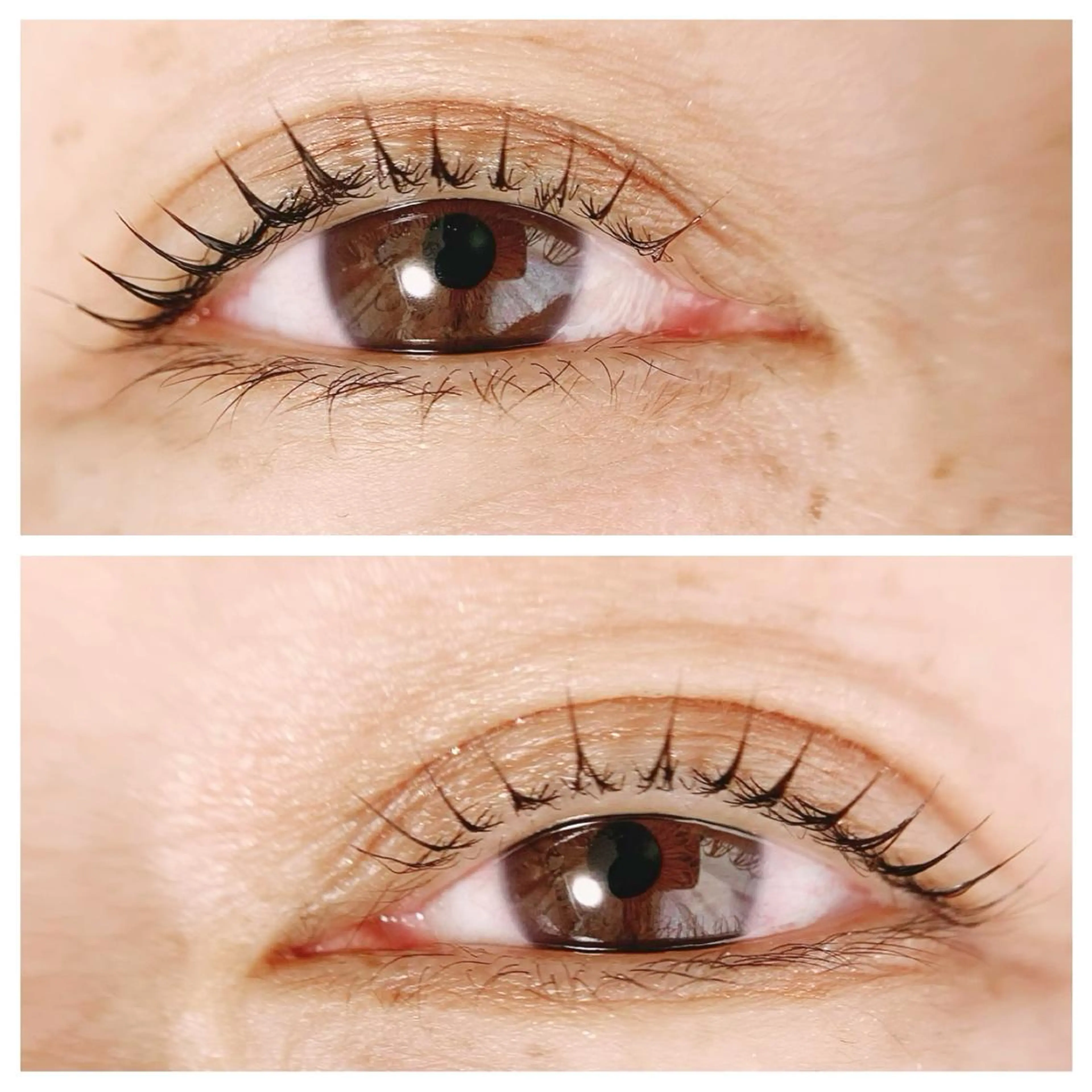 マツエク・マツパ マツパ Adorer(アドレ)所属・Adorer 🍀アドレ🍀のマツエク・マツパデザイン