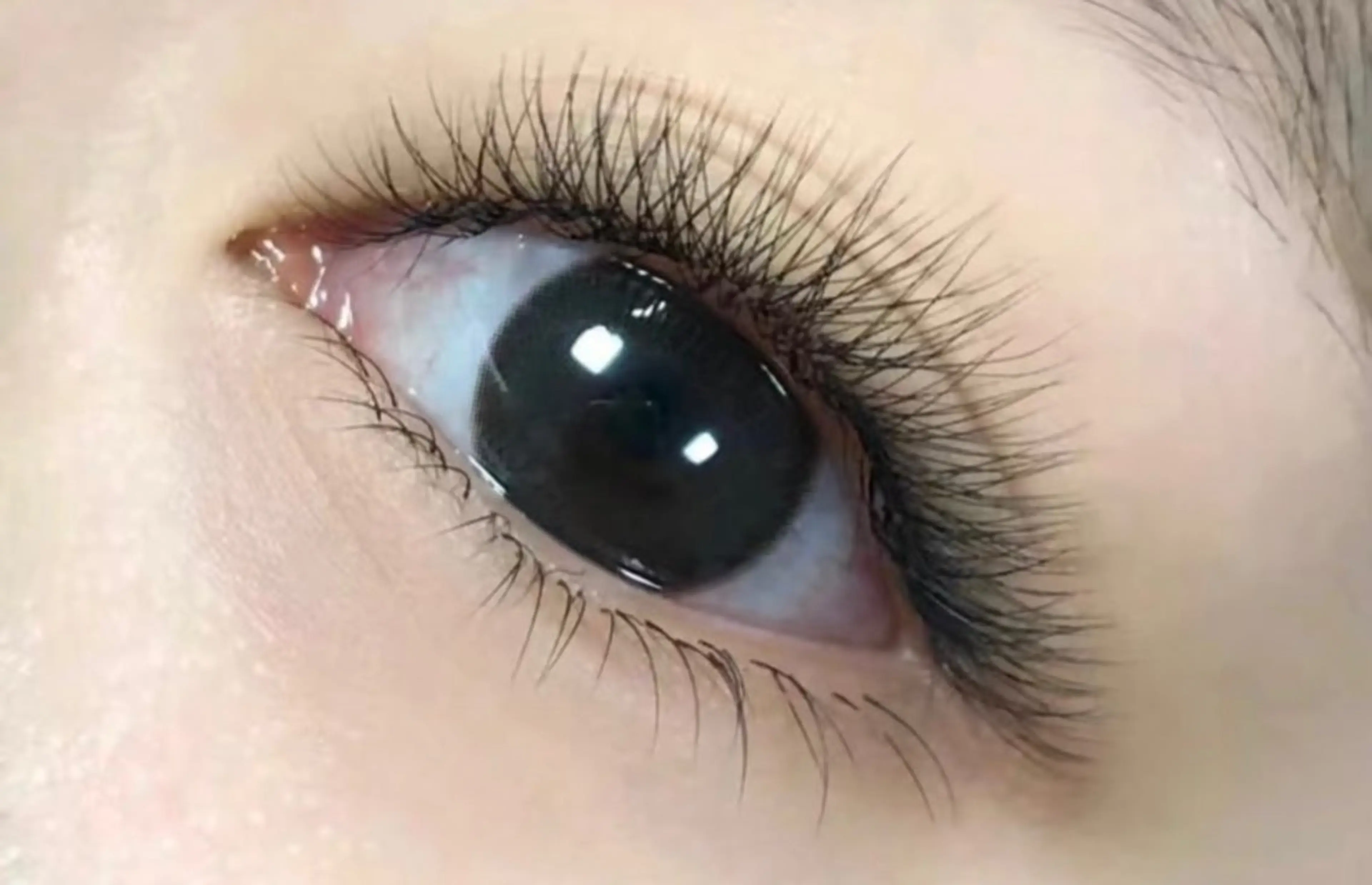 マツエク・マツパ 束感まつ毛 カラーマツエク フラットラッシュ パリジェンヌラッシュリフト まつげパーマ Yunabi池袋東口店所属・ユナビ ゆき🌸🌸のマツエク・マツパデザイン