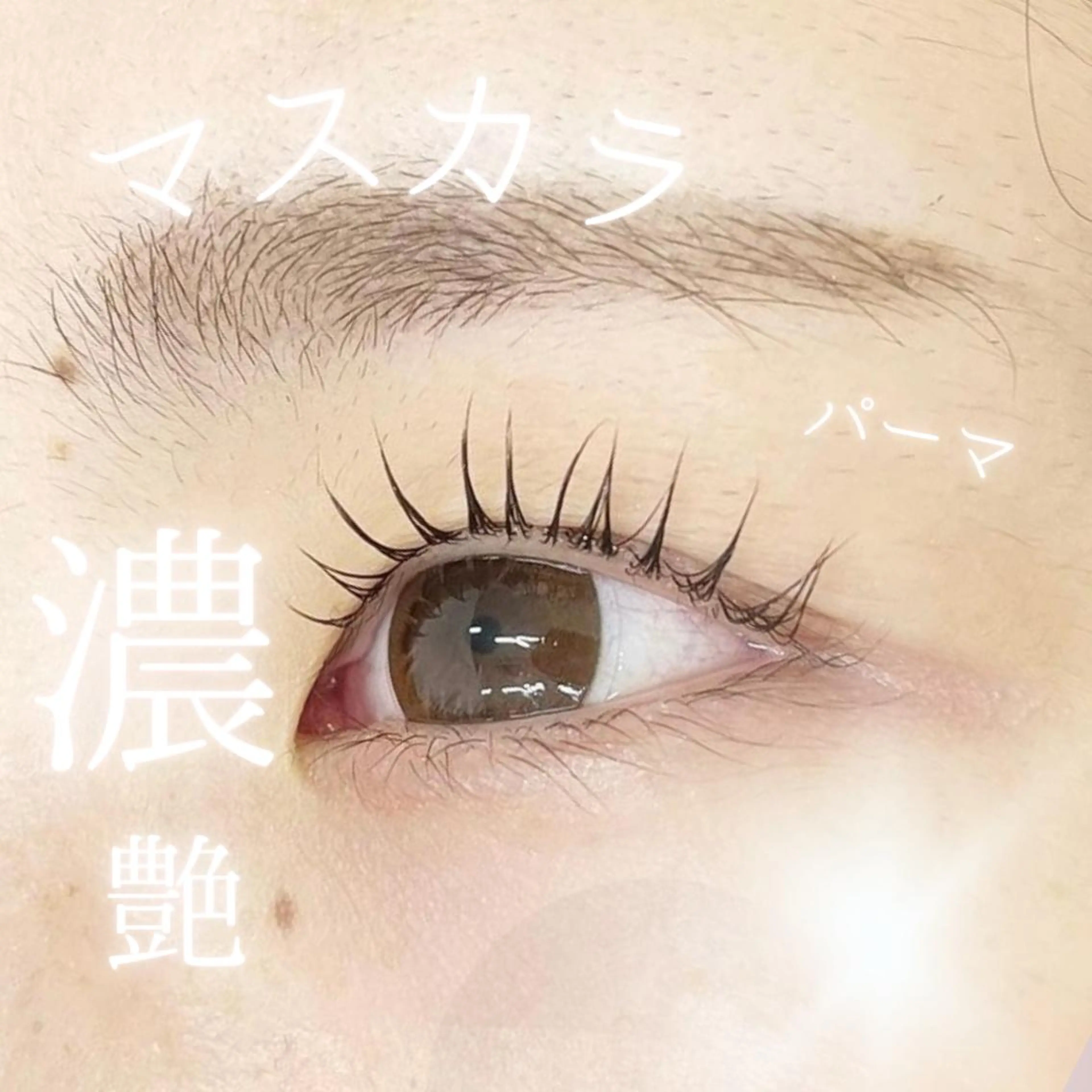 マスカラパーマ　￥1980の写真