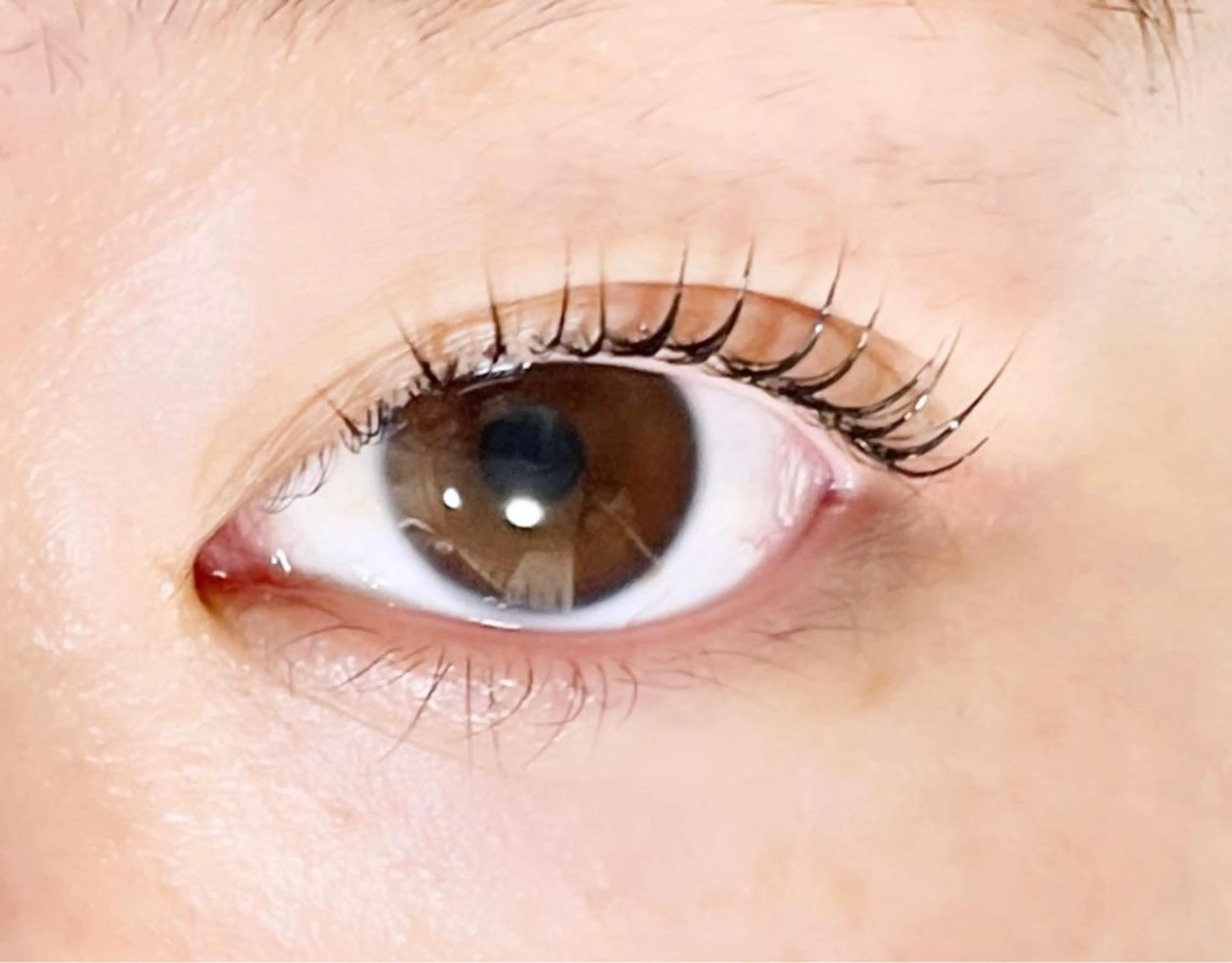 マツエク・マツパ TAKEO🖤 マリーテレジア藤が丘のマツエク・マツパデザイン