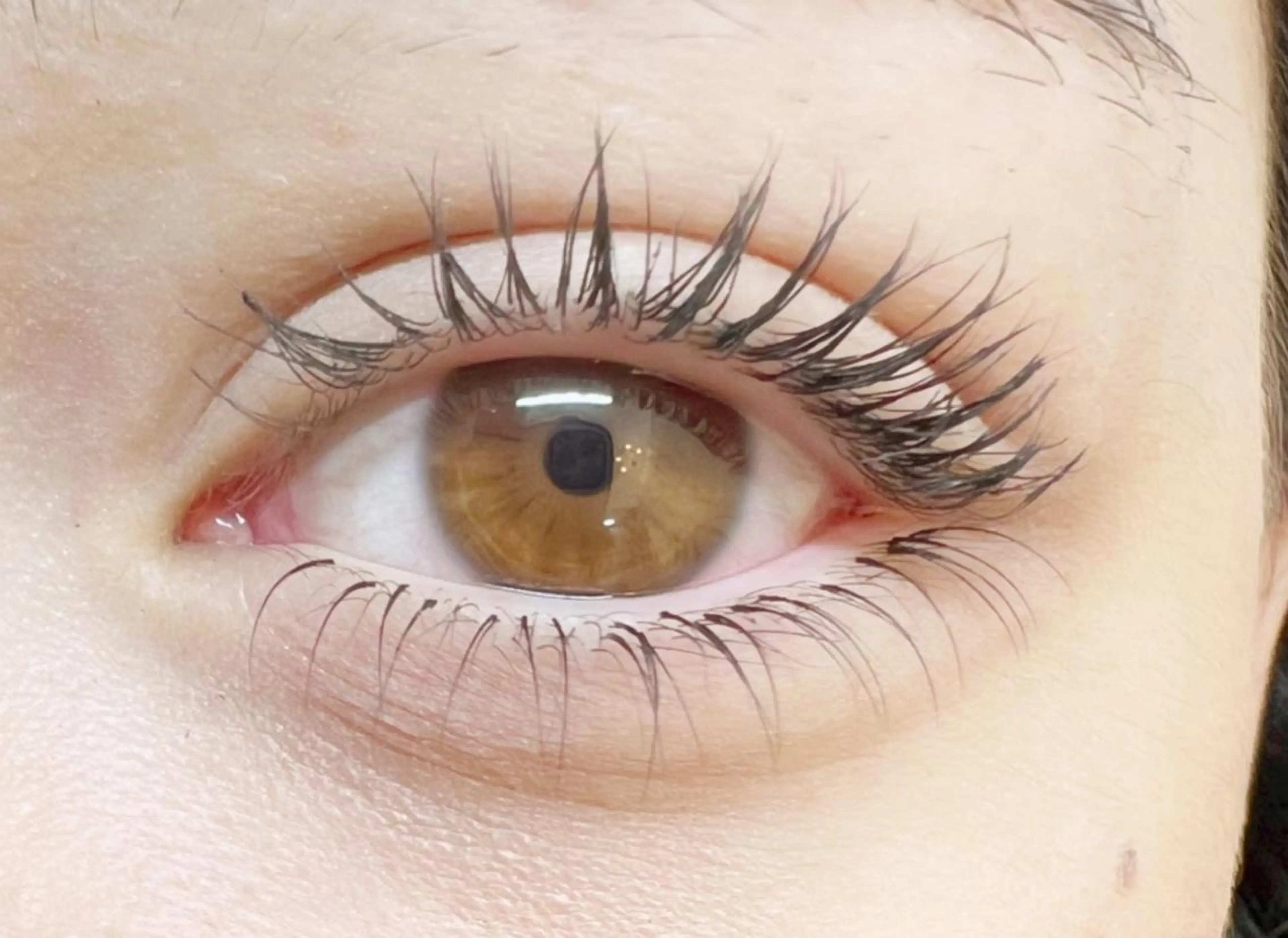 マツエク・マツパ 下まつげエクステ Baby step.のマツエク・マツパデザイン