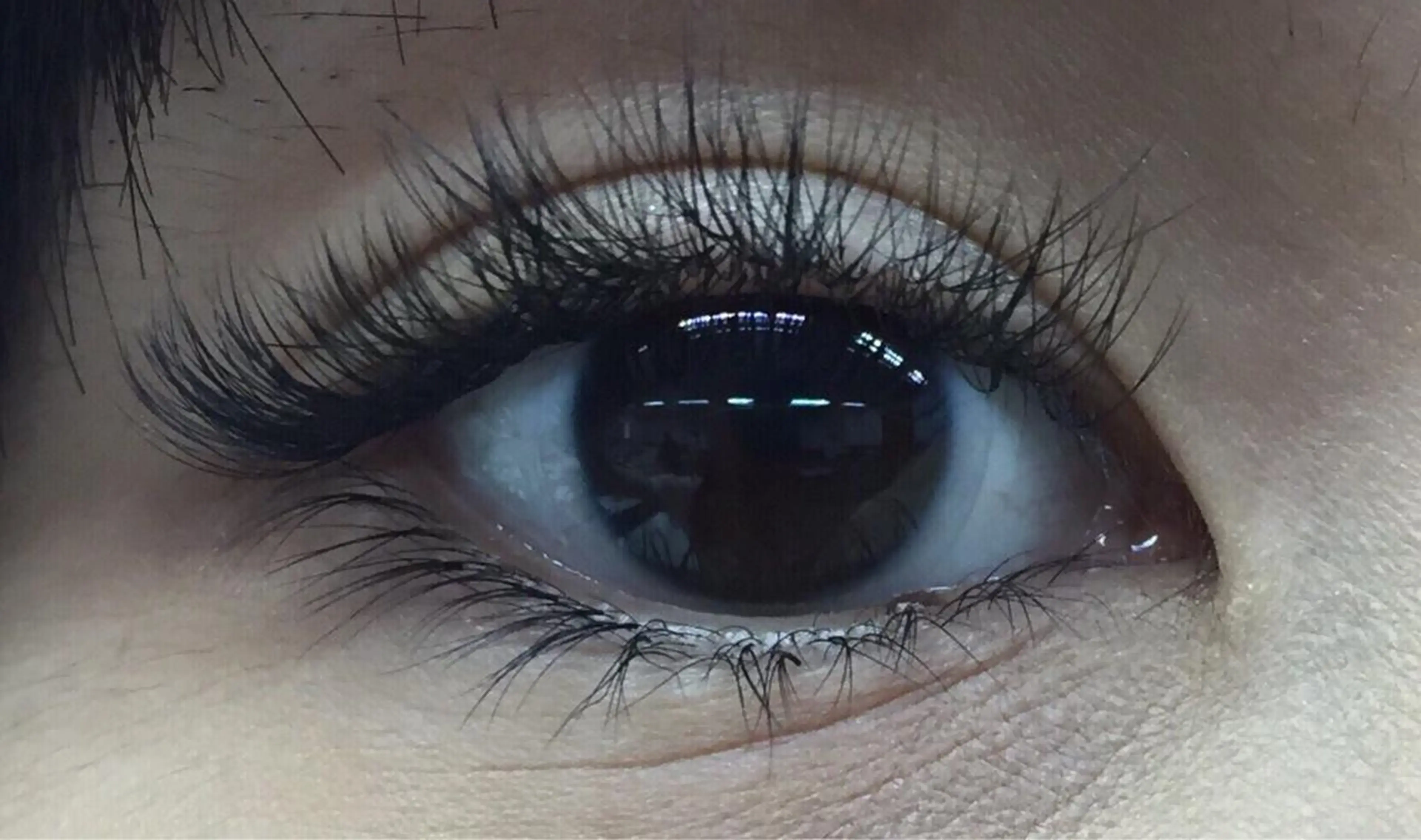 マツエク・マツパ 付け放題 ナチュラル シルク Sylph & SCENEのマツエク・マツパデザイン