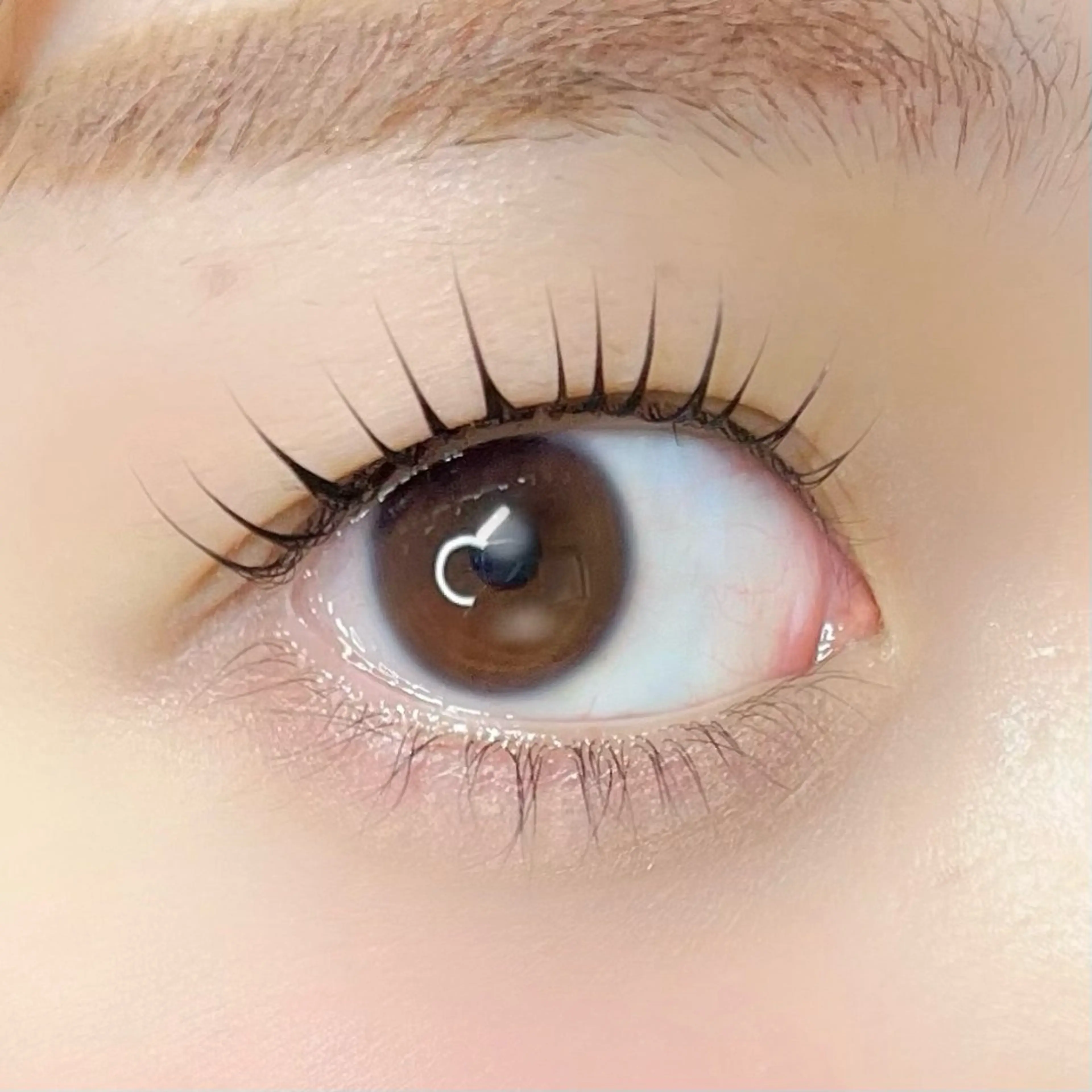 マツエク・マツパ パリジェンヌラッシュリフト マツパ 🩵HARUHI 京都Two🩵のマツエク・マツパデザイン