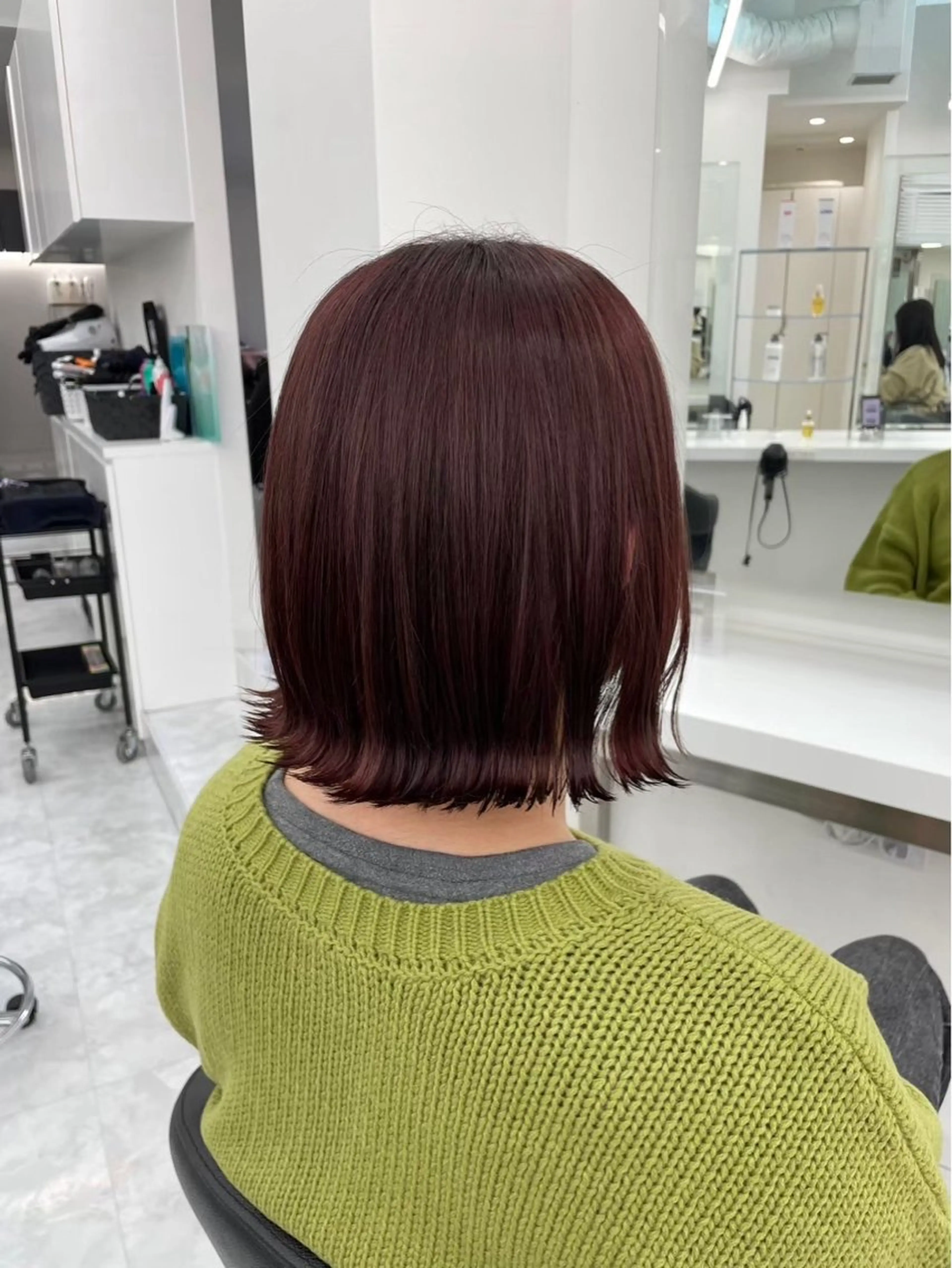 ロング カラー ヘアカラー トリートメント mina/暖色カラー 🥀ボブカット🥀のヘアスタイル