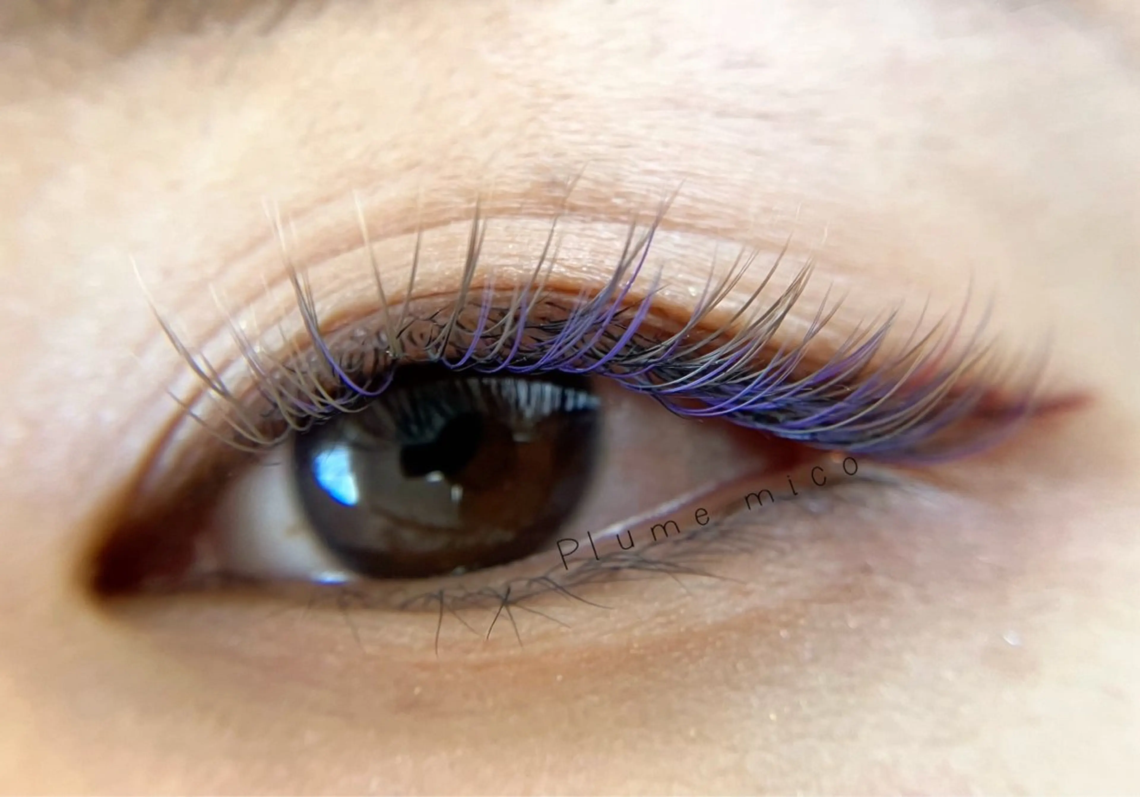 マツエク・マツパ マツエク Plume micoのマツエク・マツパデザイン