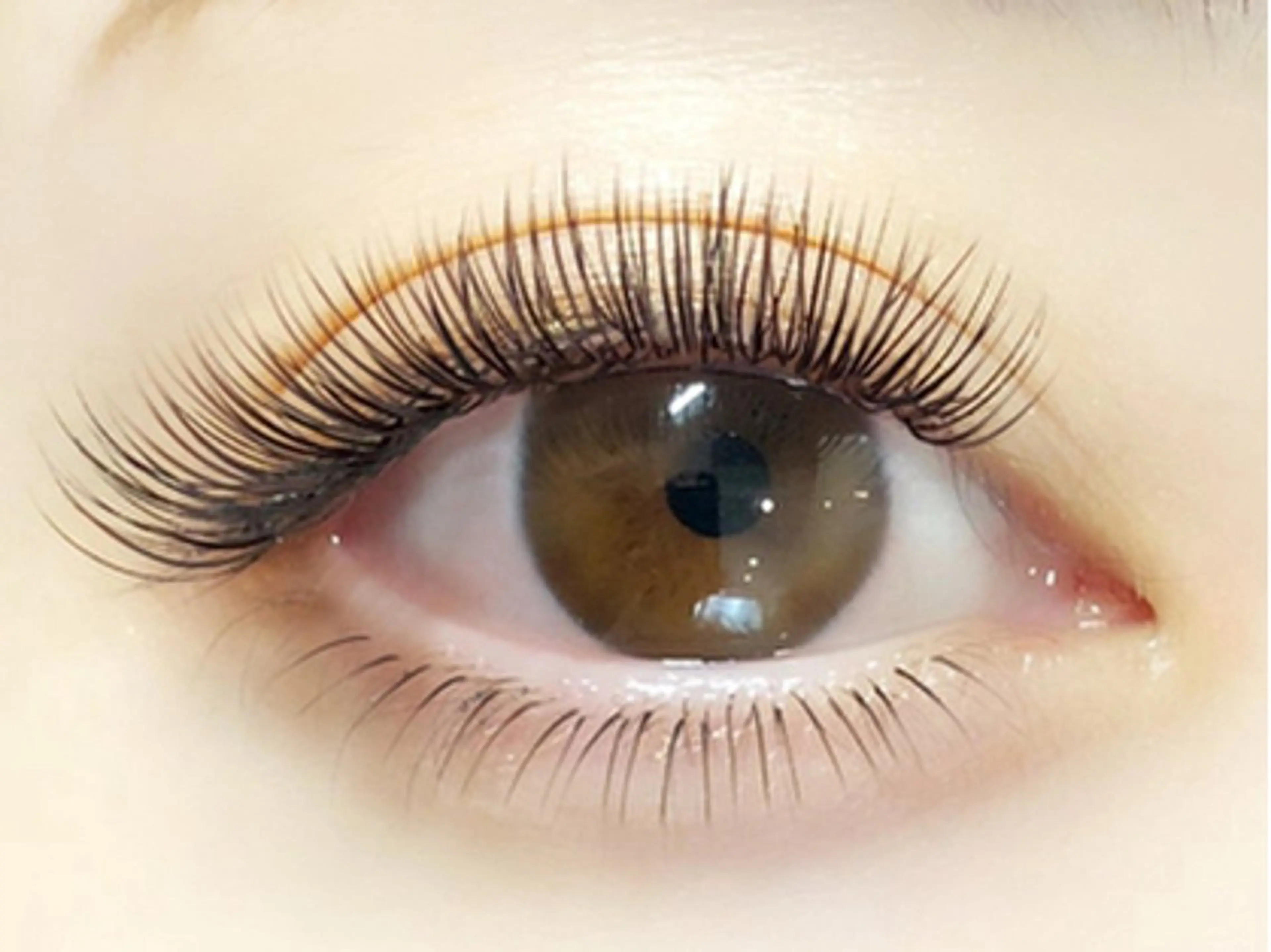 マツエク・マツパ マツエク 🍒eyelash tent🍒のマツエク・マツパデザイン