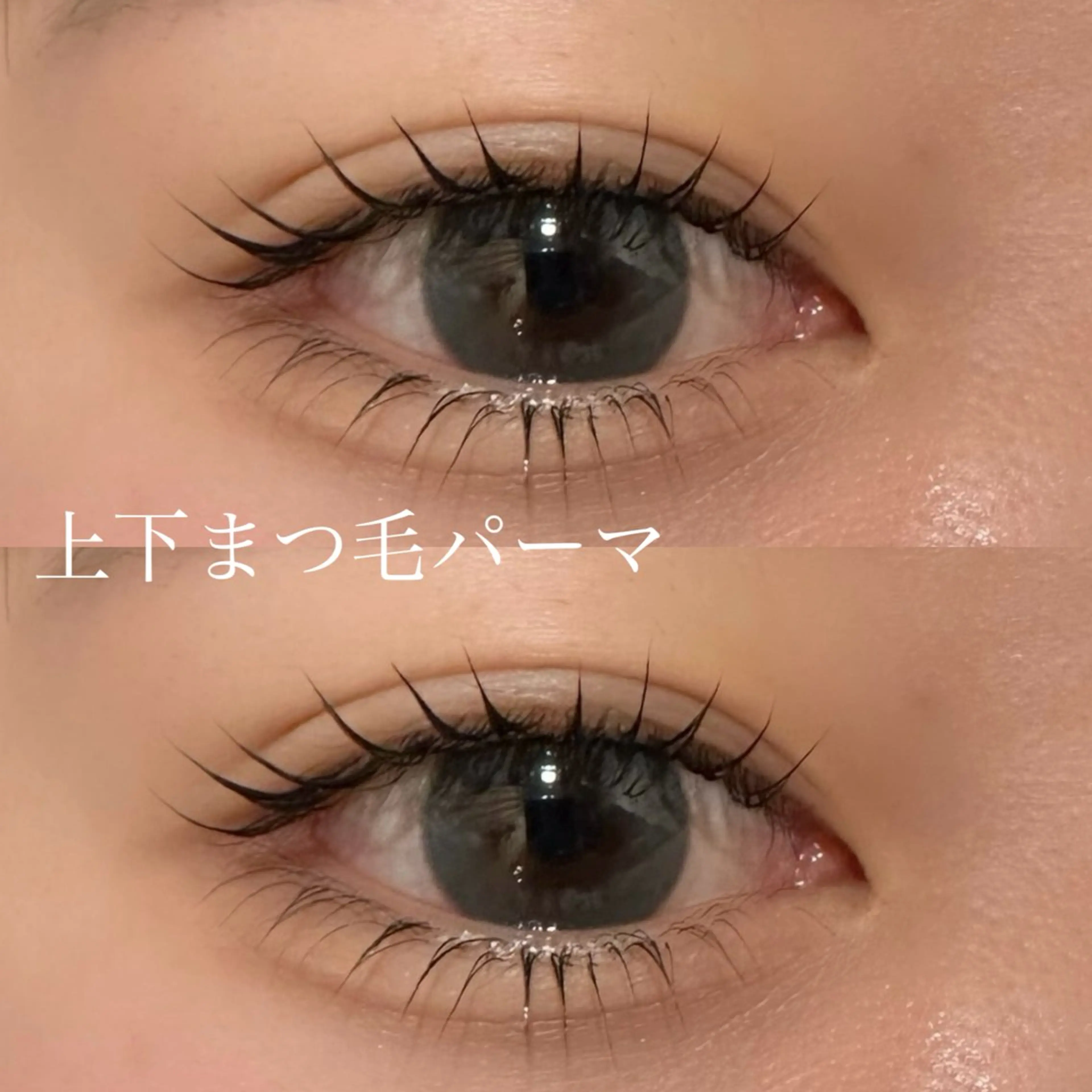 マツエク・マツパ 下まつげエクステ 一重×まつ毛パーマ マツパ eight misaki🦋のマツエク・マツパデザイン
