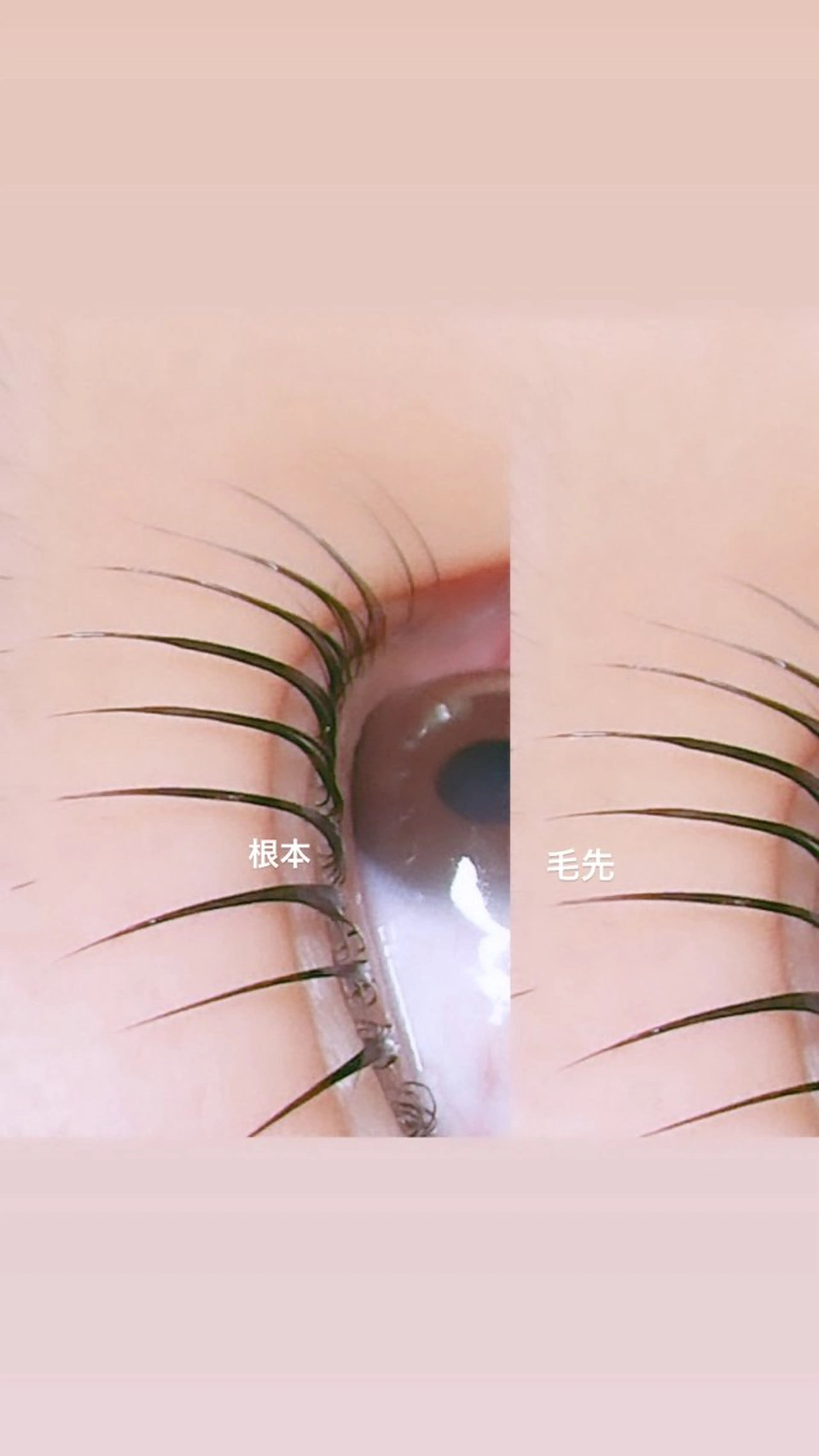 マツエク・マツパ 一重×まつ毛パーマ ロニセラ アイラッシュのマツエク・マツパデザイン