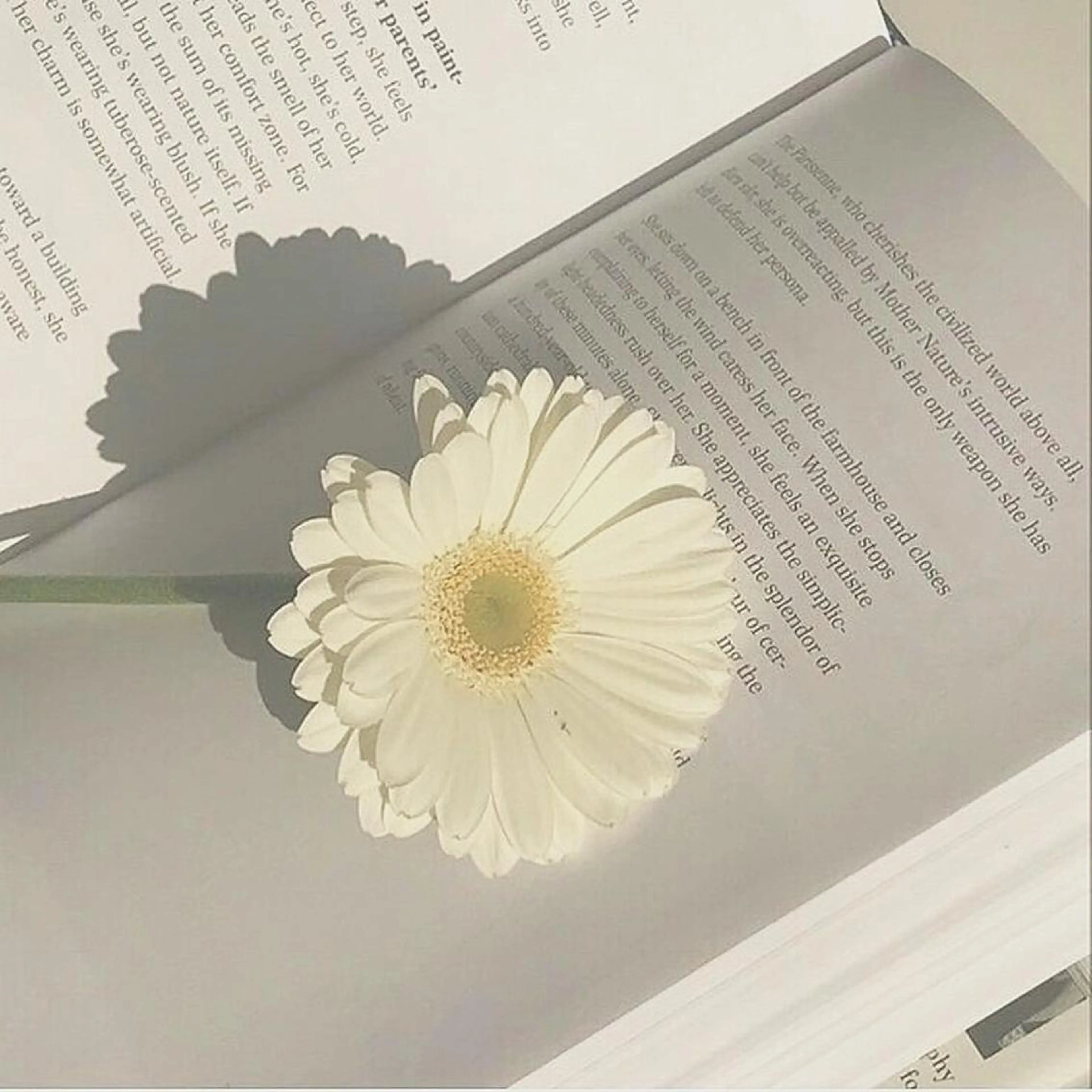 マツエク・マツパ Ai Quick 北千住🌿saitoの眉毛・アイブロウイメージ