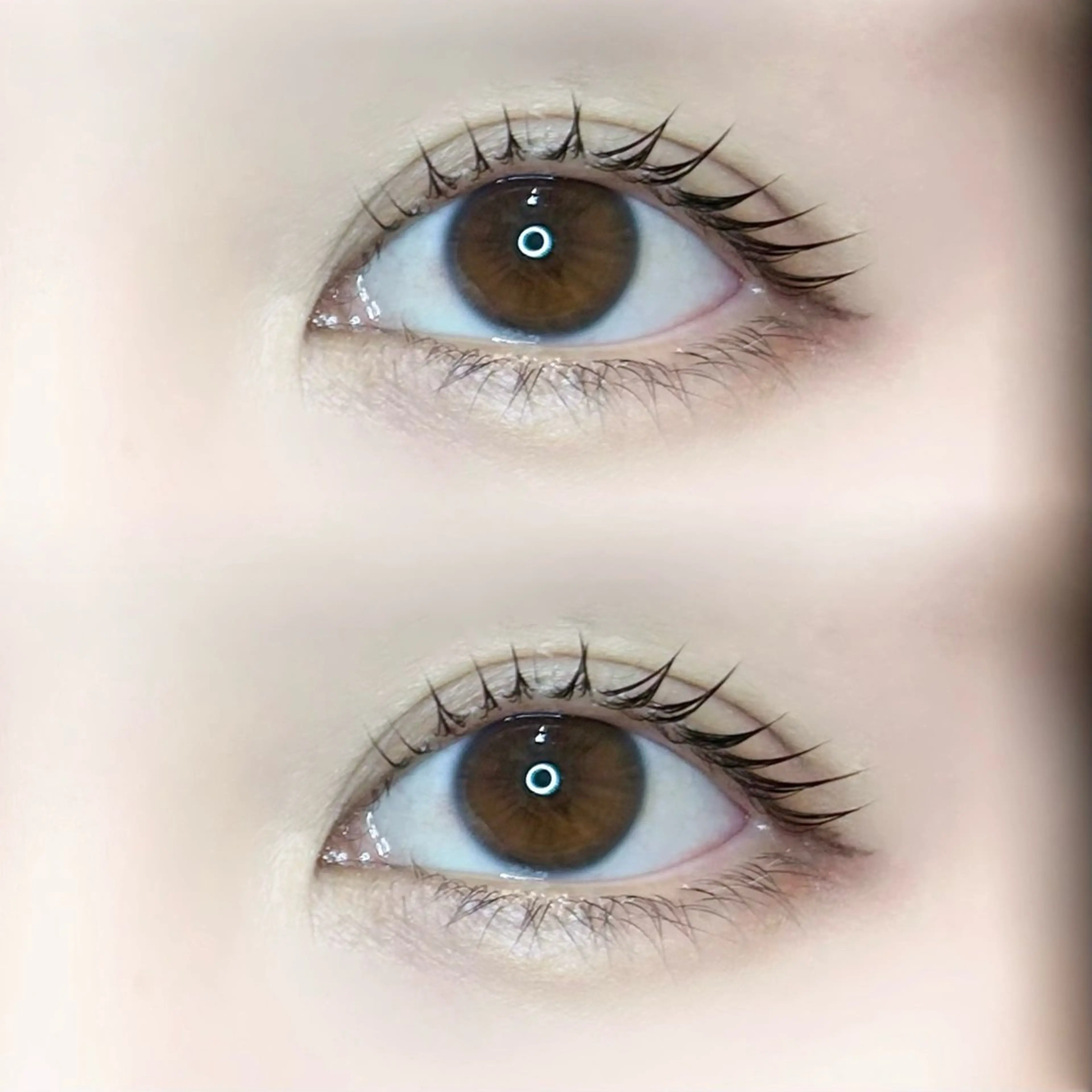 マツエク・マツパ パリジェンヌラッシュリフト 🍀fein. sakura🍀の眉毛・アイブロウイメージ