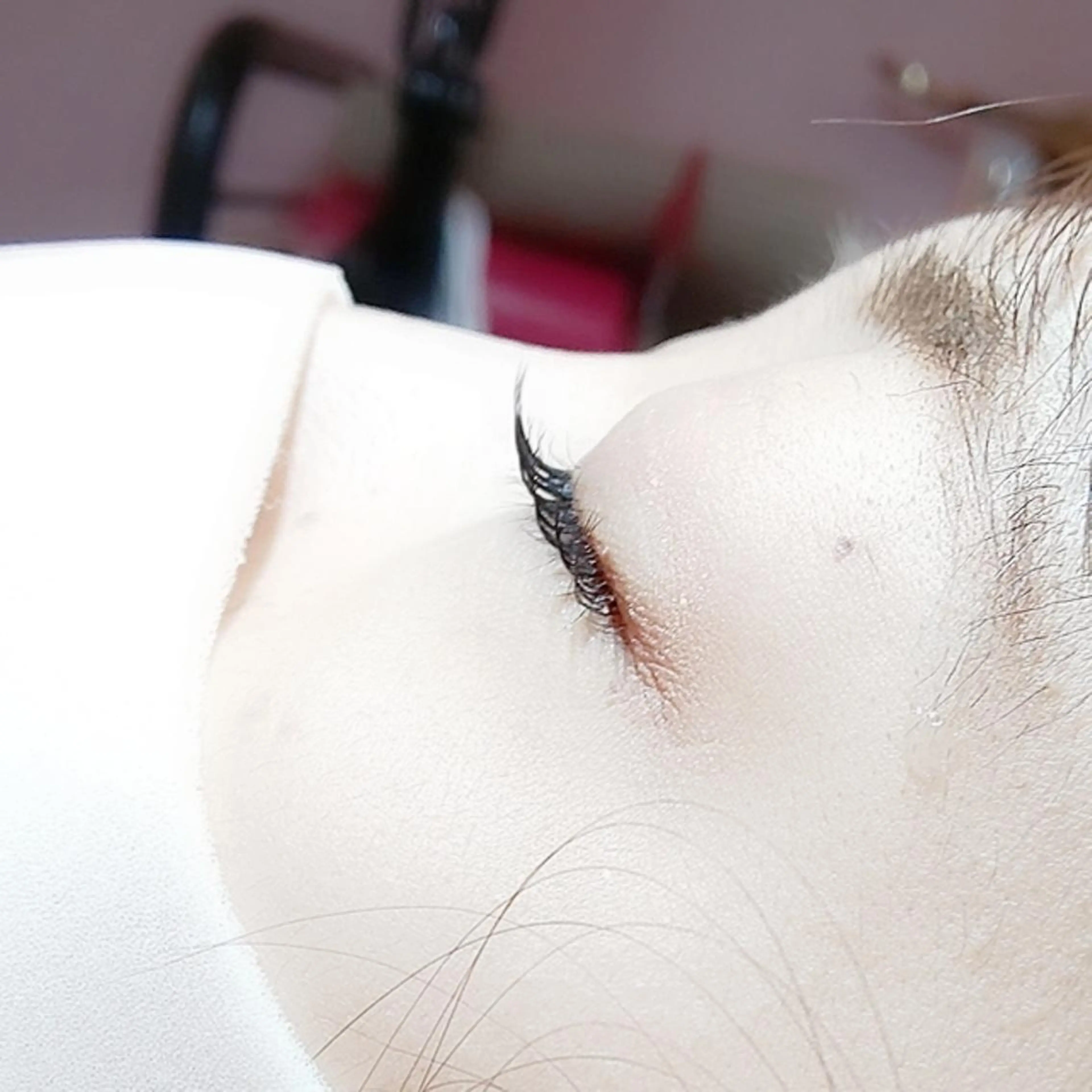 マツエク・マツパ sHeeR【シアー】 ハマナカのマツエク・マツパデザイン