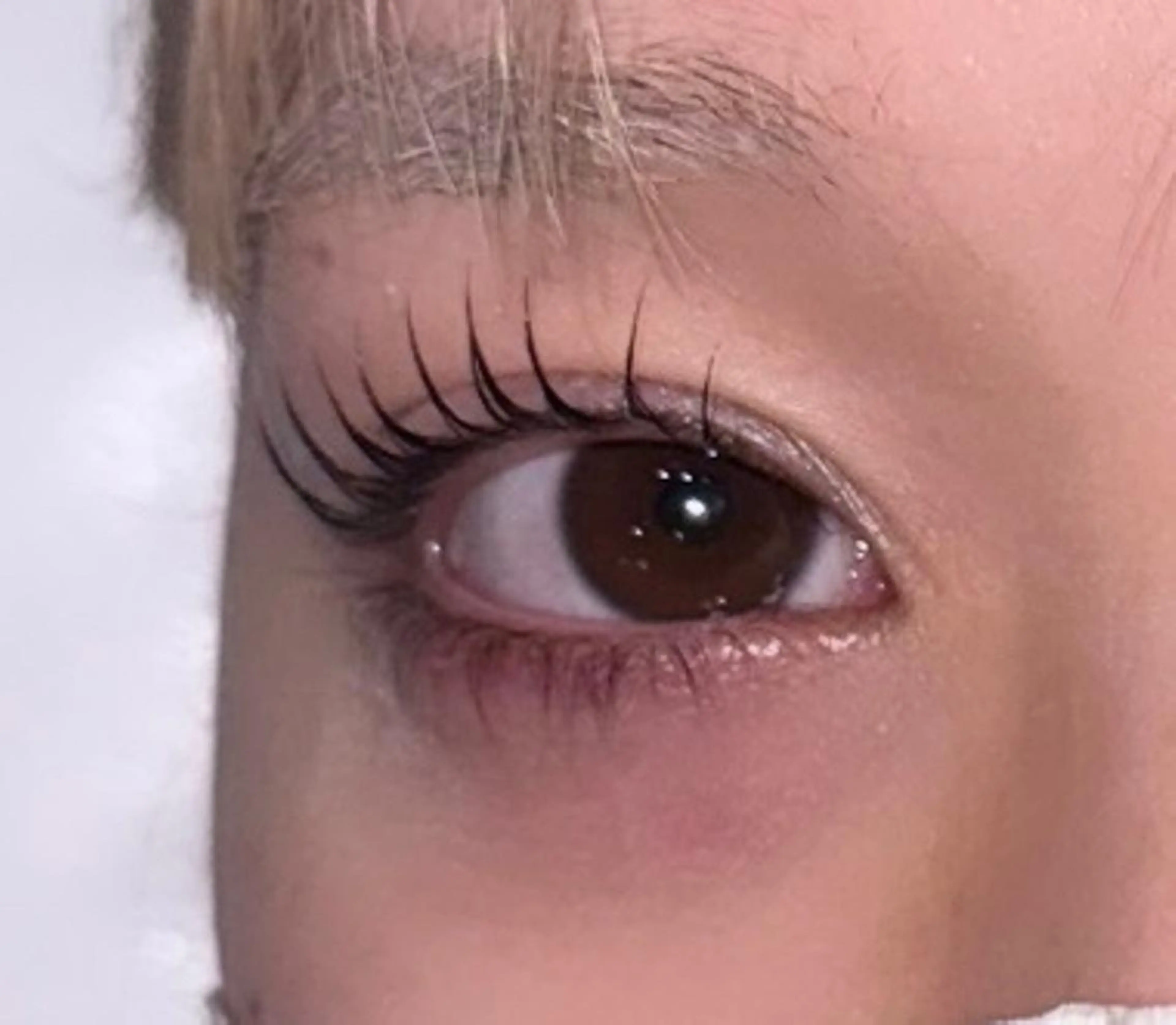 マツエク・マツパ パリジェンヌラッシュリフト マリーテレジア SHIONのマツエク・マツパデザイン