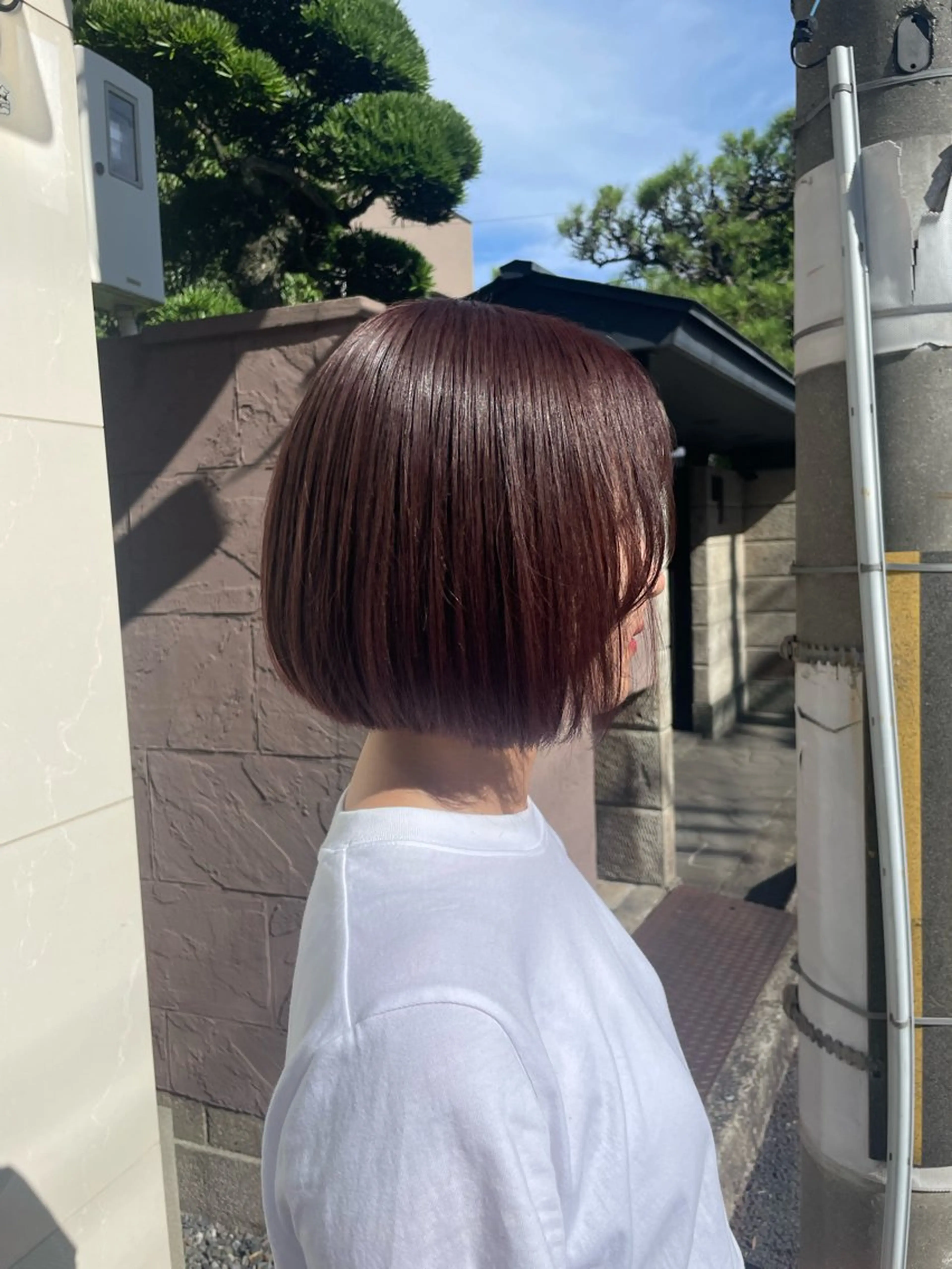 ショート カラー ブラウンカラー レッドカラー 美髪クリエイター 三浦　葵のヘアスタイル