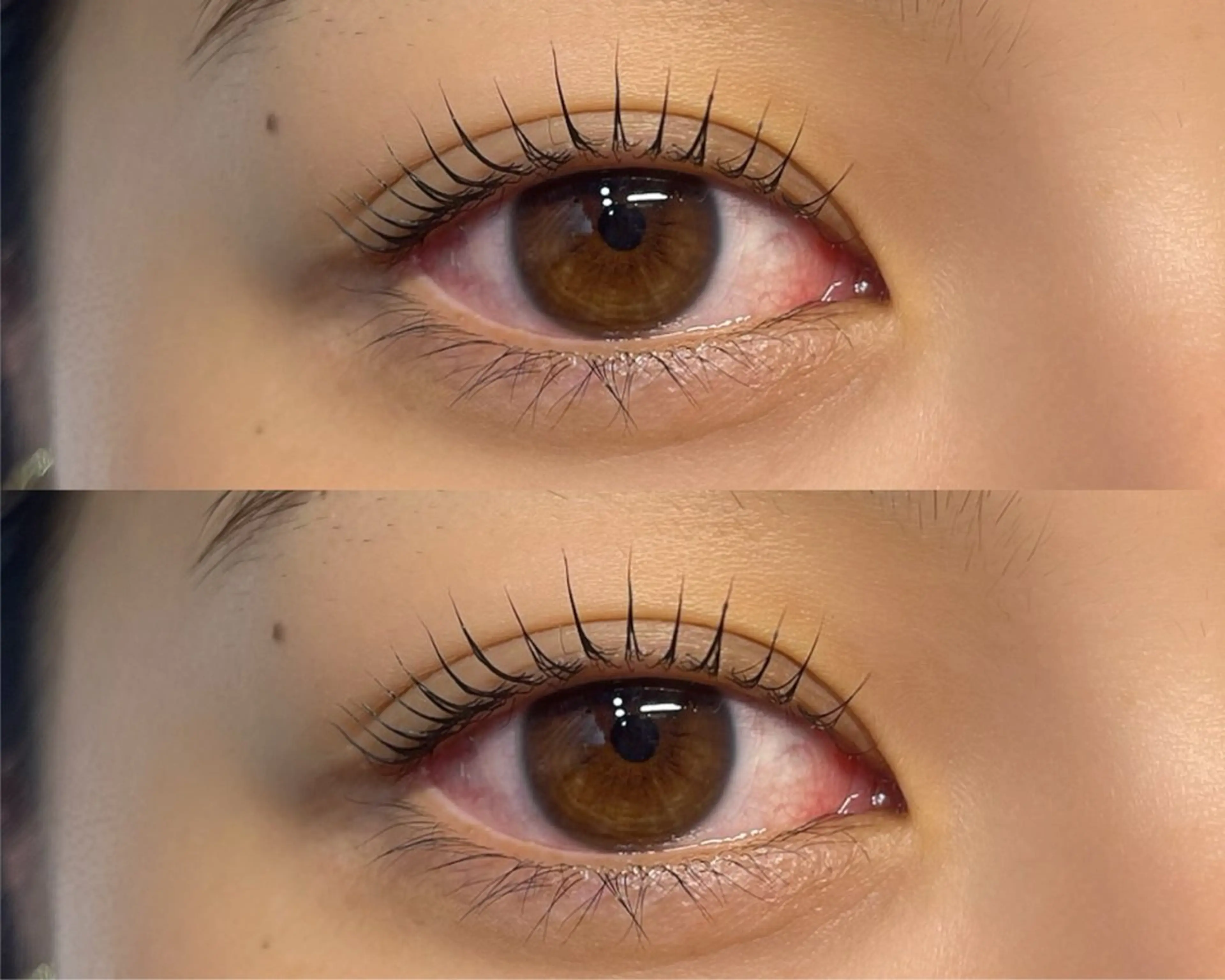 マツエク・マツパ 一重×まつ毛パーマ マツパ laurel Kanonのマツエク・マツパデザイン