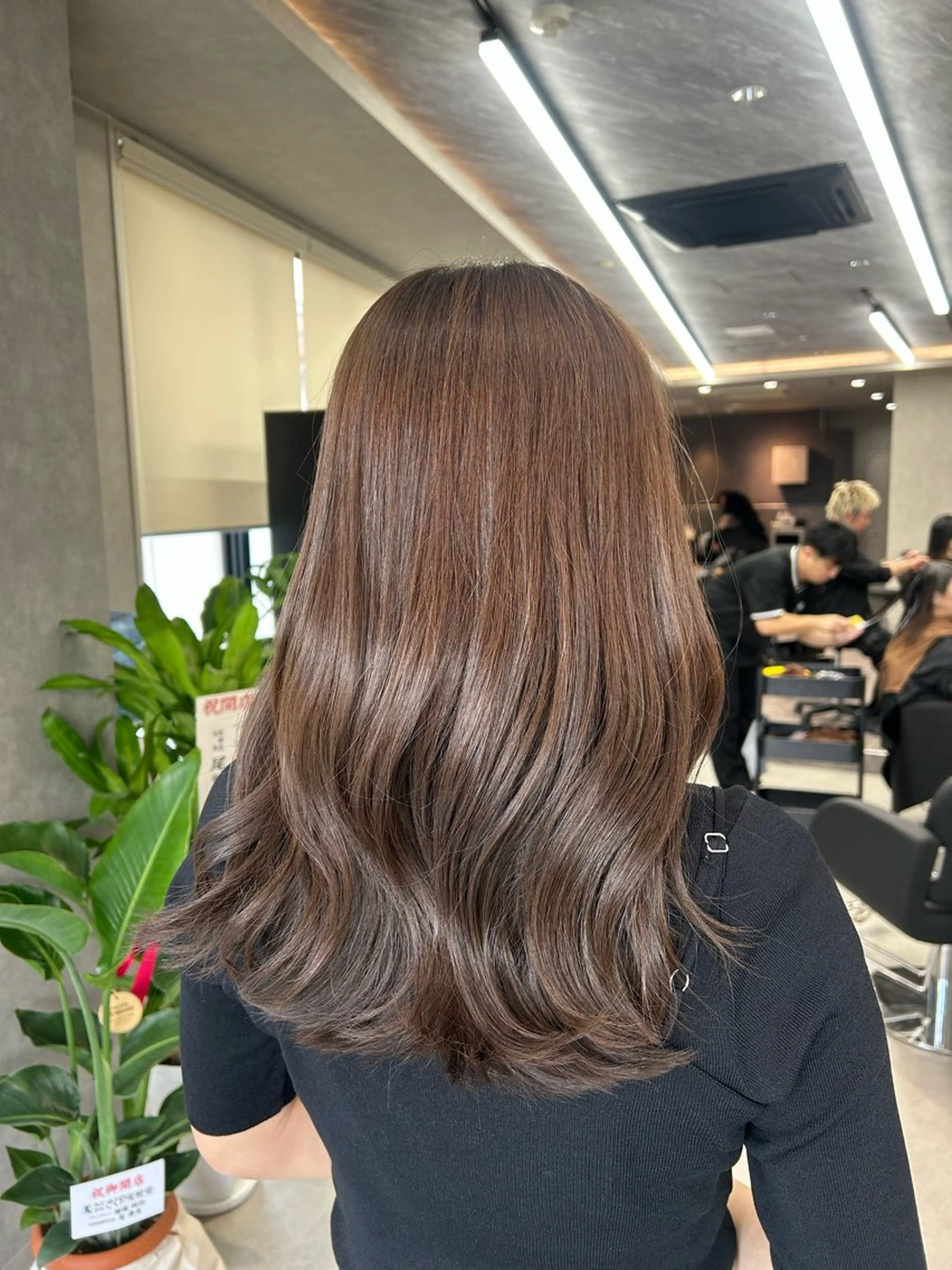 【2025限定✨】透明感カラー＋2stepトリートメント🎀の写真