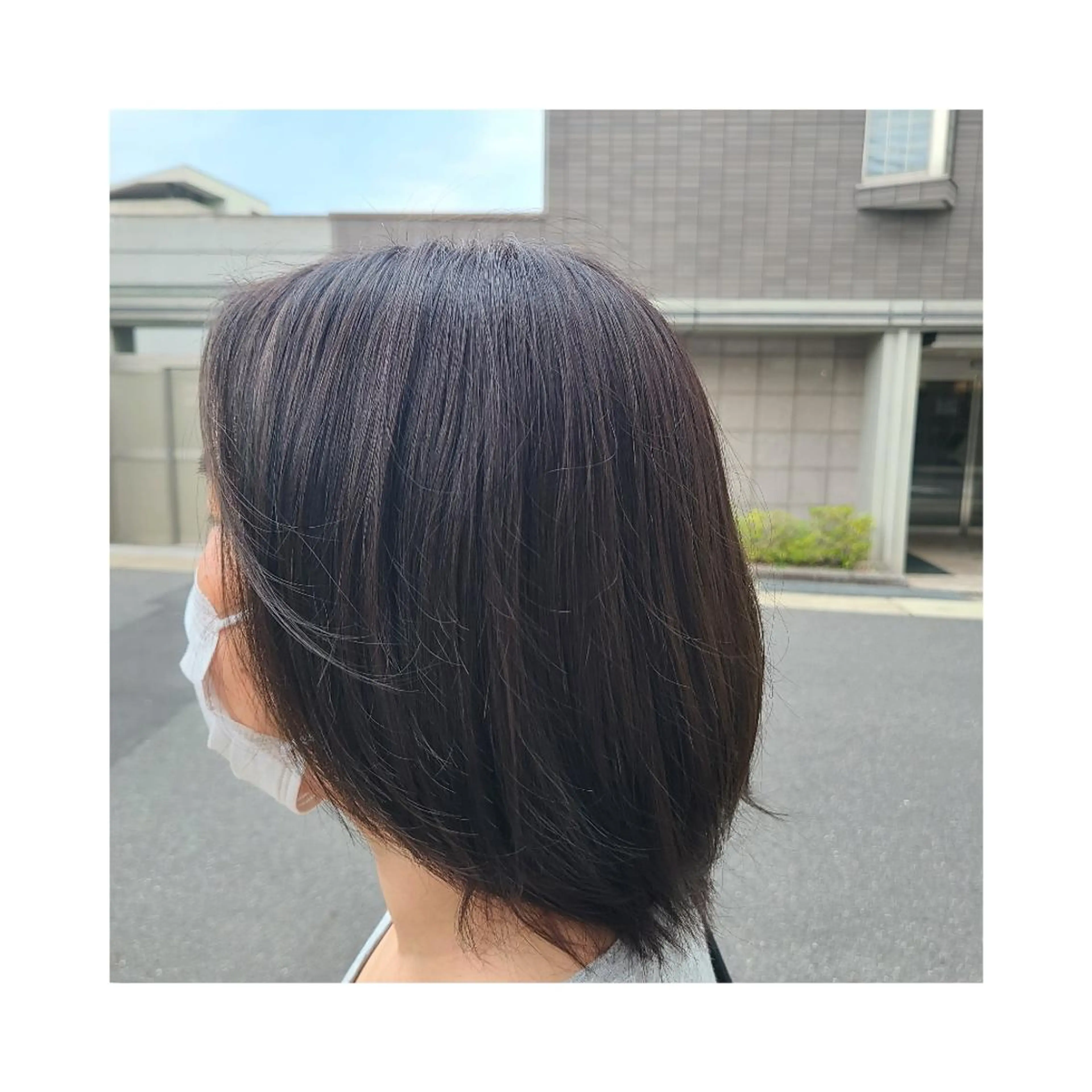 ショート カラー アッシュ 透明感カラー Hazumi Ayanoのヘアスタイル