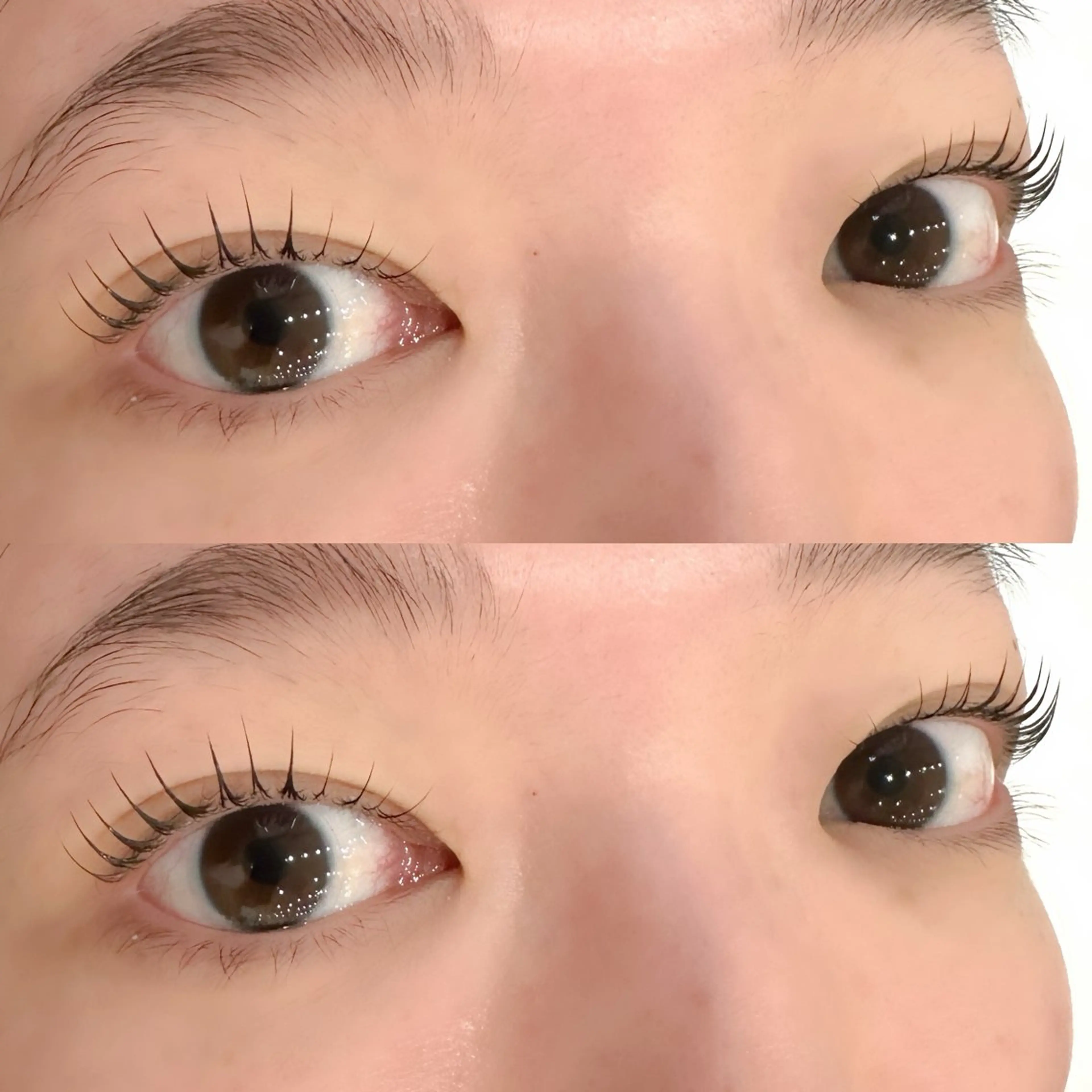 マツエク・マツパ マツパ マリーテレジア🩵 Maeokaのマツエク・マツパデザイン