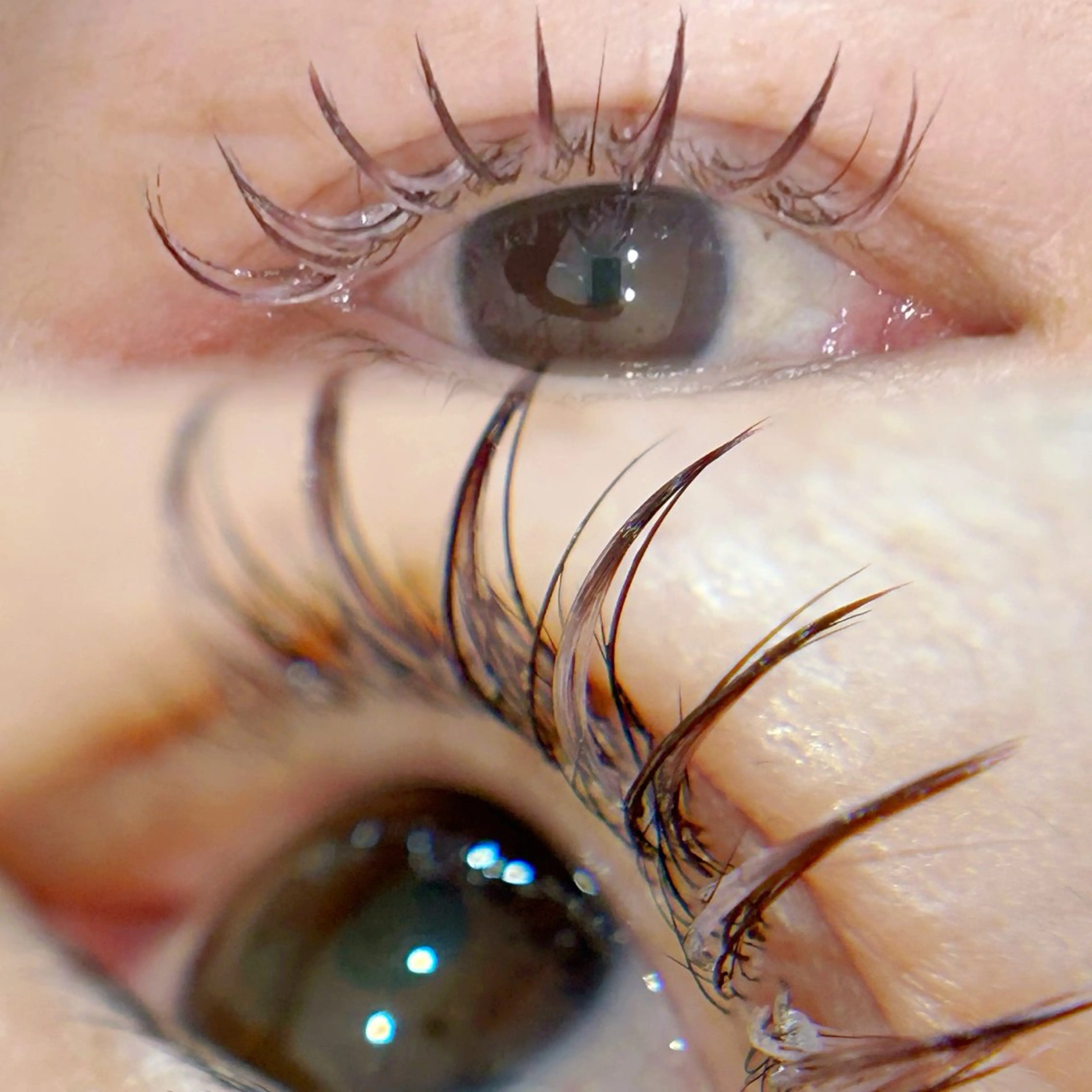 マツエク・マツパ melt まみのマツエク・マツパデザイン