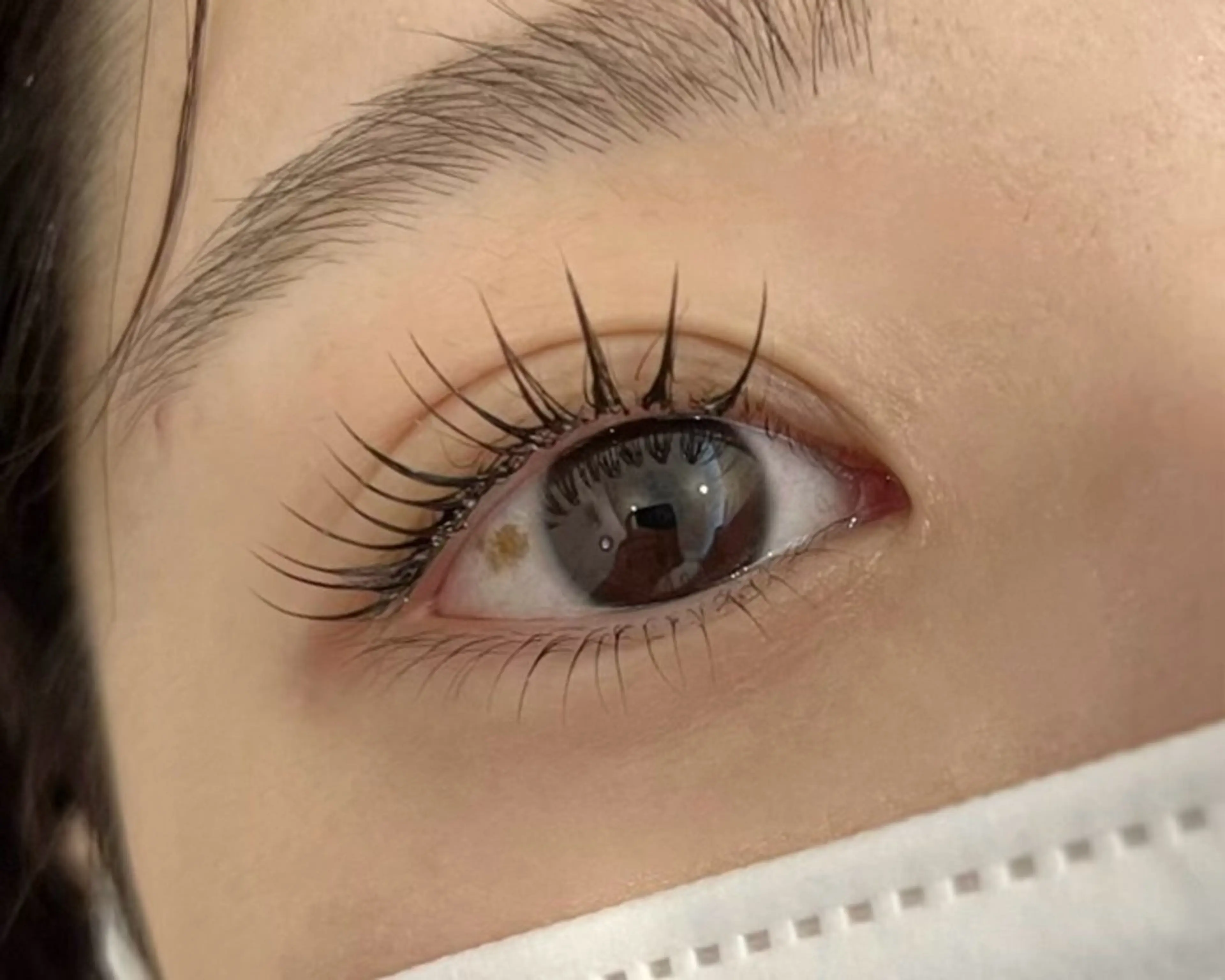 パリエク100本の写真