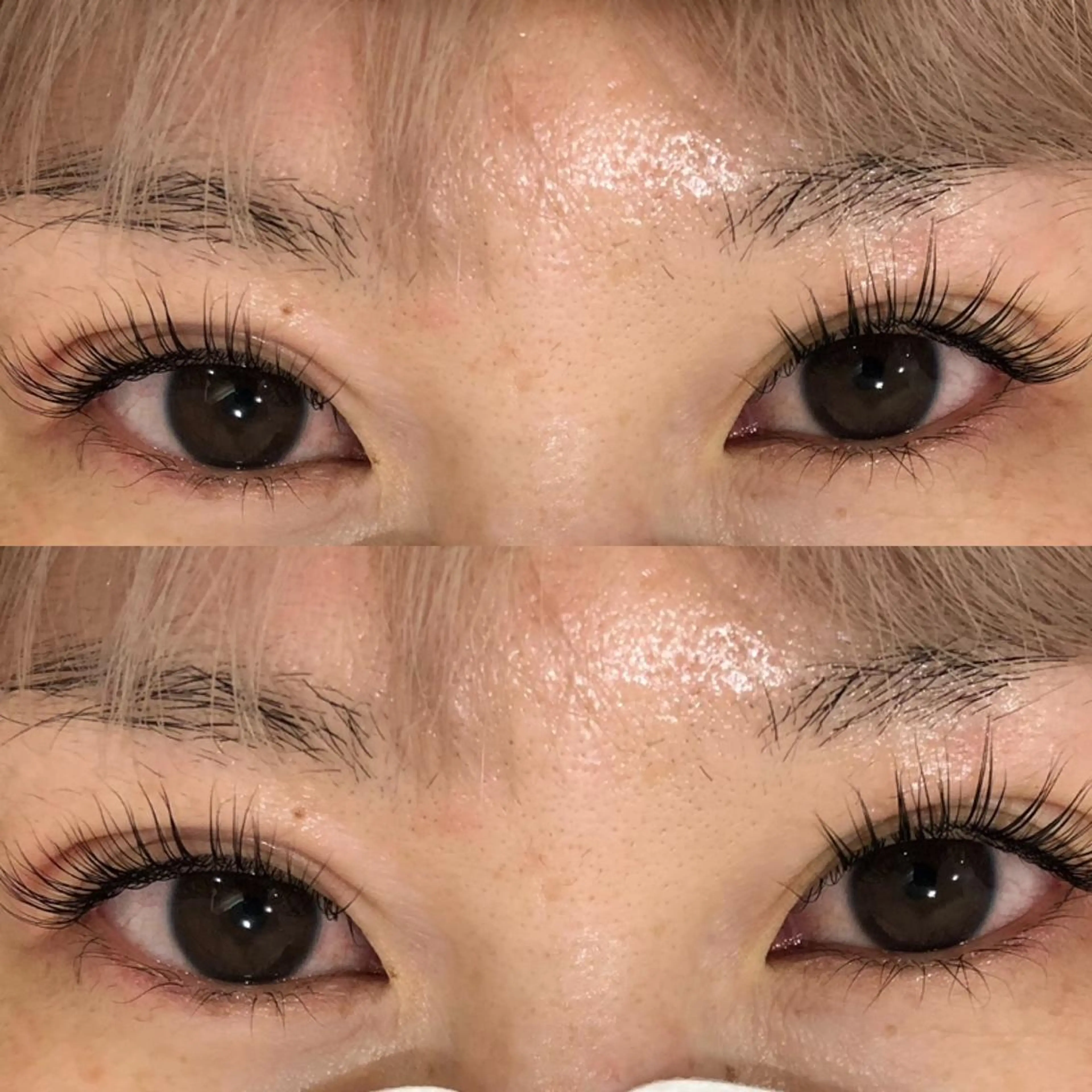 ご新規様限定‼️まつげパーマ👀の写真