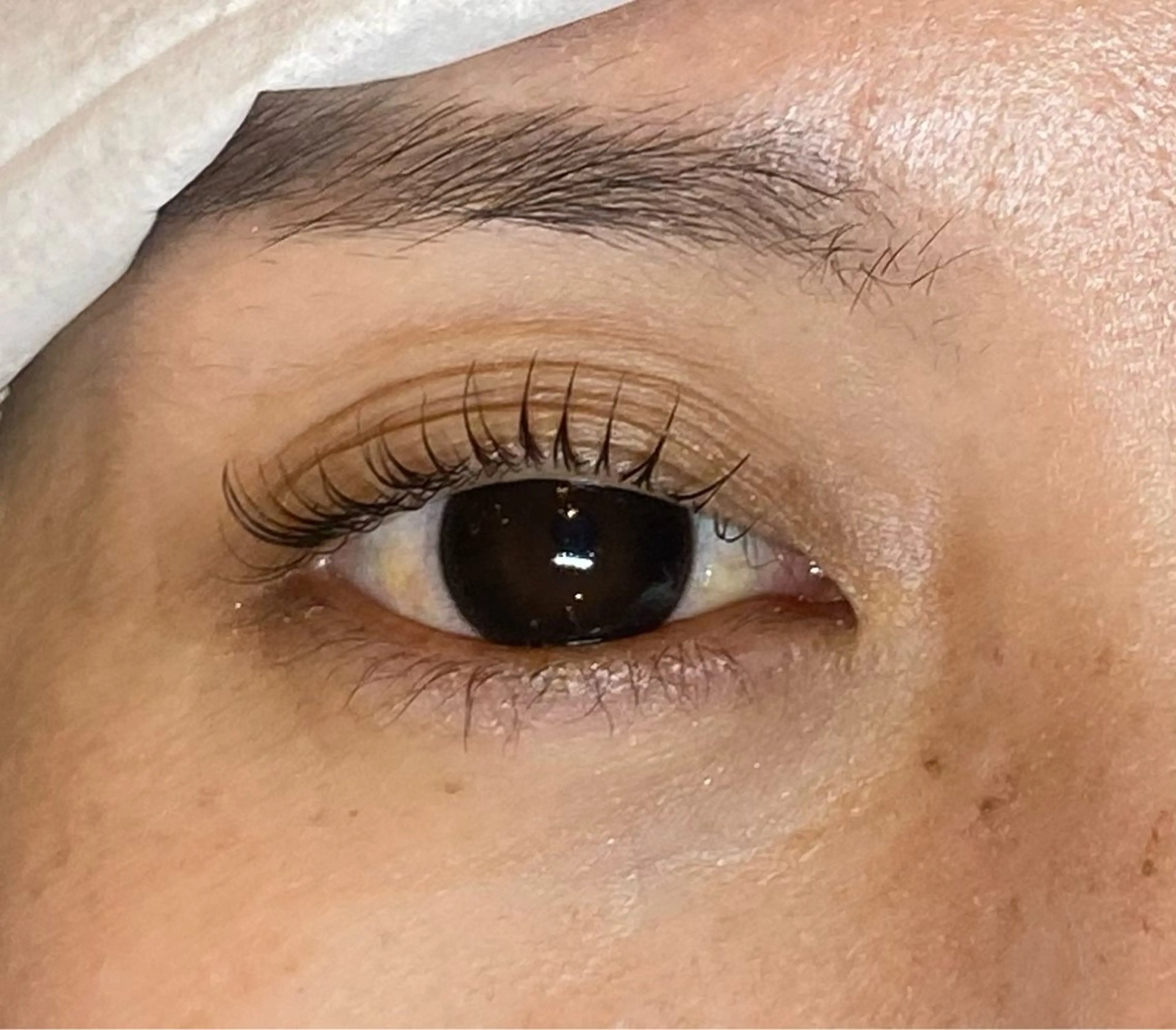 マツエク・マツパ Daisy lash 京橋店堀井のマツエク・マツパデザイン