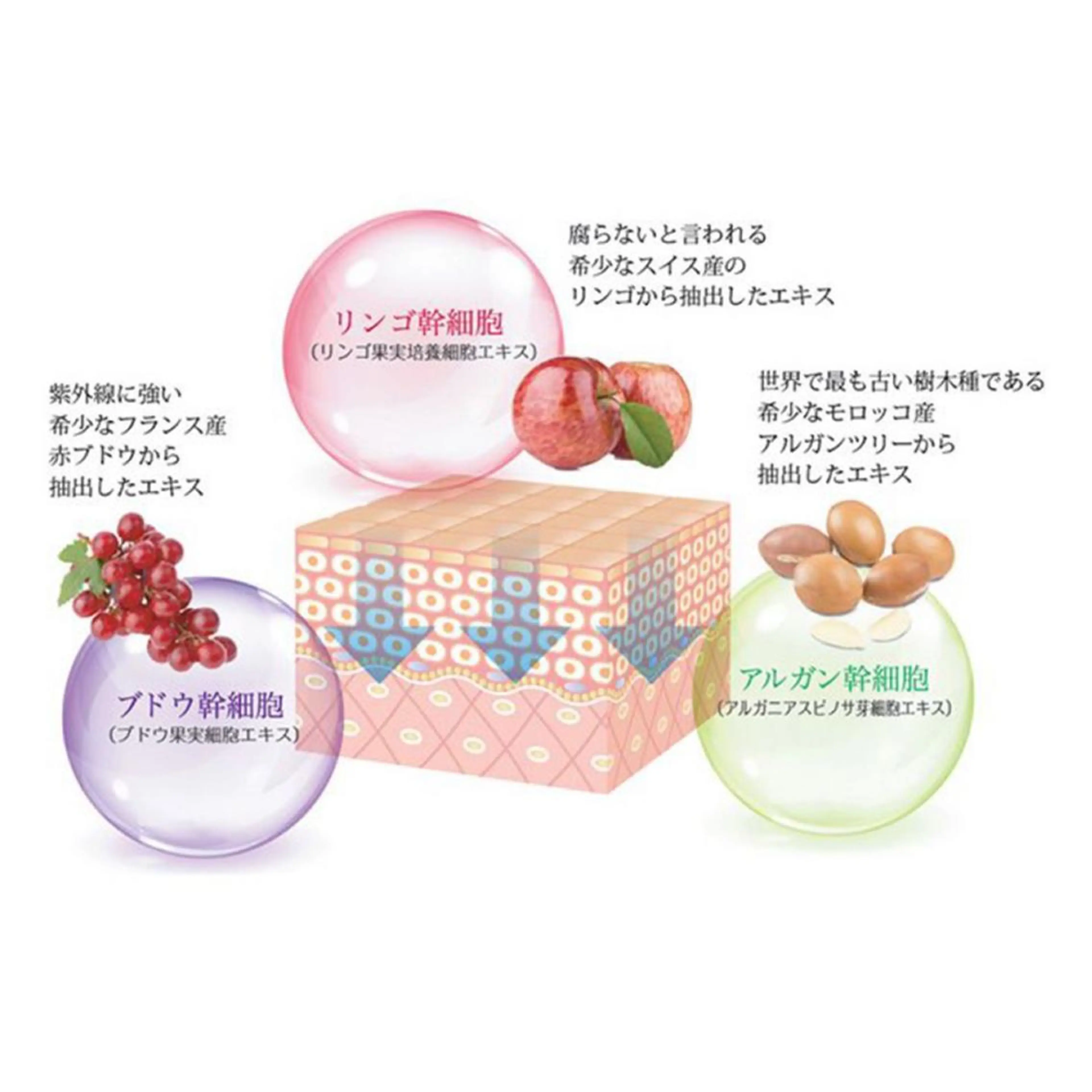 エステ ❤︎ kannoのマツエク・マツパデザイン
