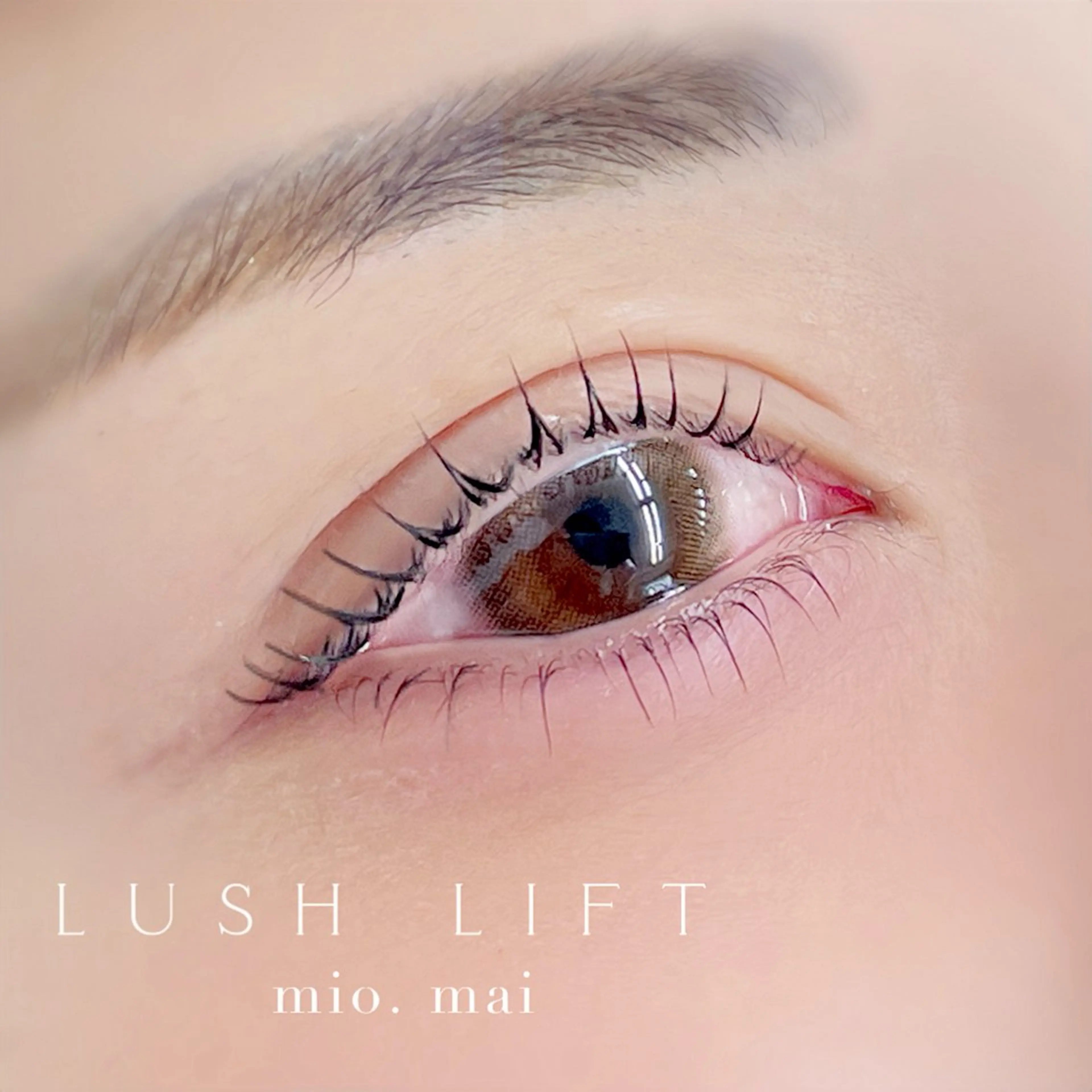 マツエク・マツパ マツパ mai /マツパ.眉のマツエク・マツパデザイン