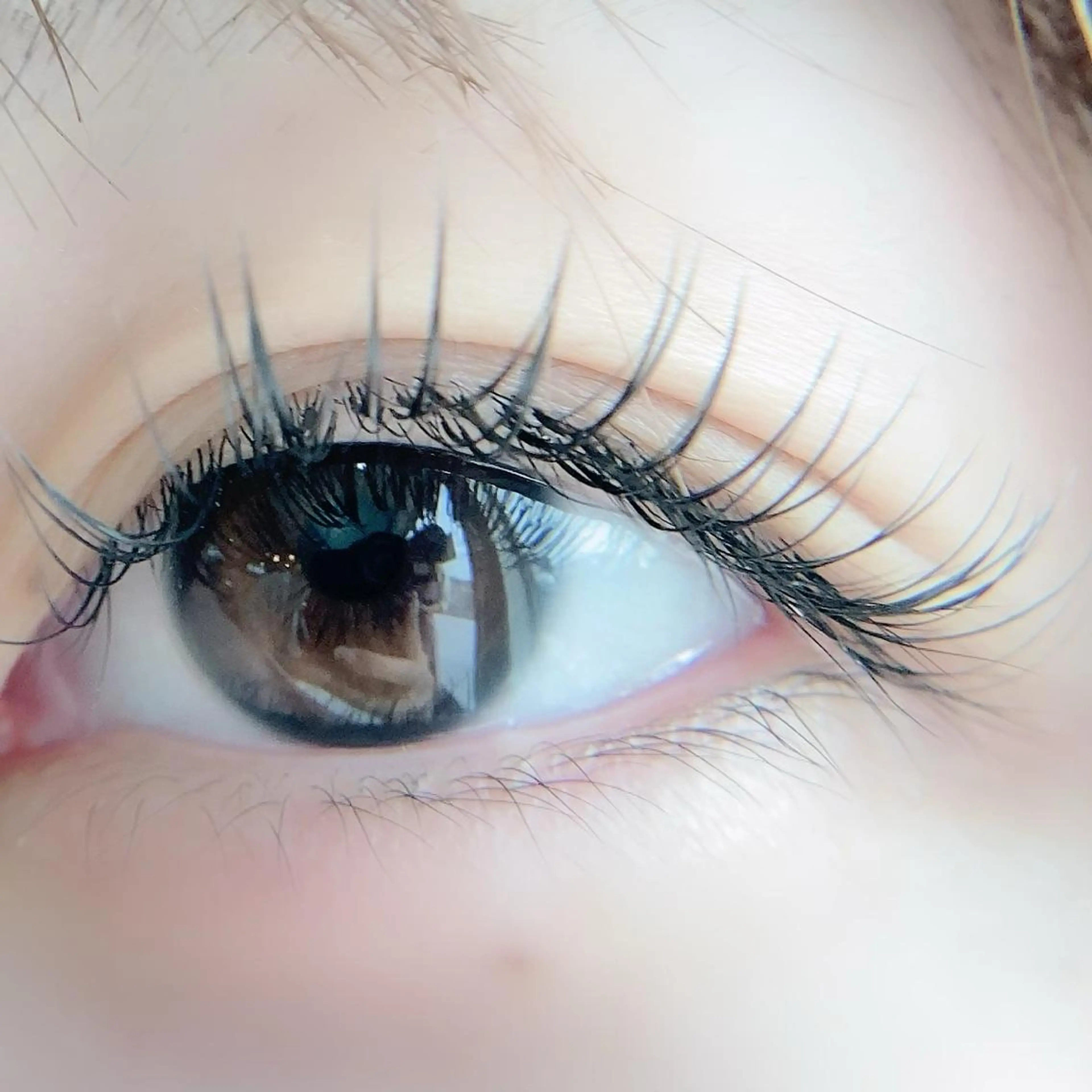 マツエク・マツパ フラットラッシュ マツエク EYELASHSALON  PINO所属・eyelash salon PINOのマツエク・マツパデザイン