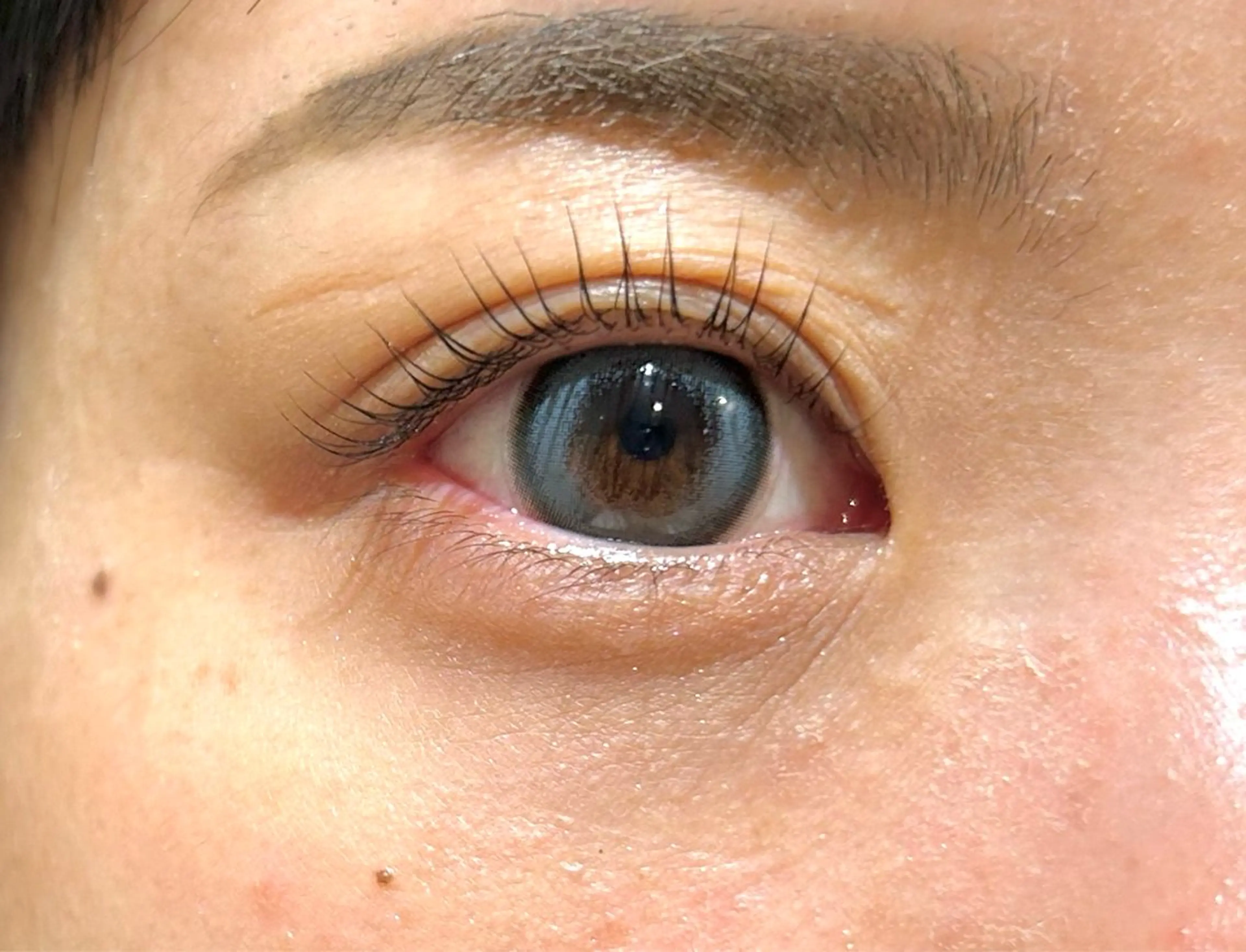 マツエク・マツパ petitchou eyelashのマツエク・マツパデザイン