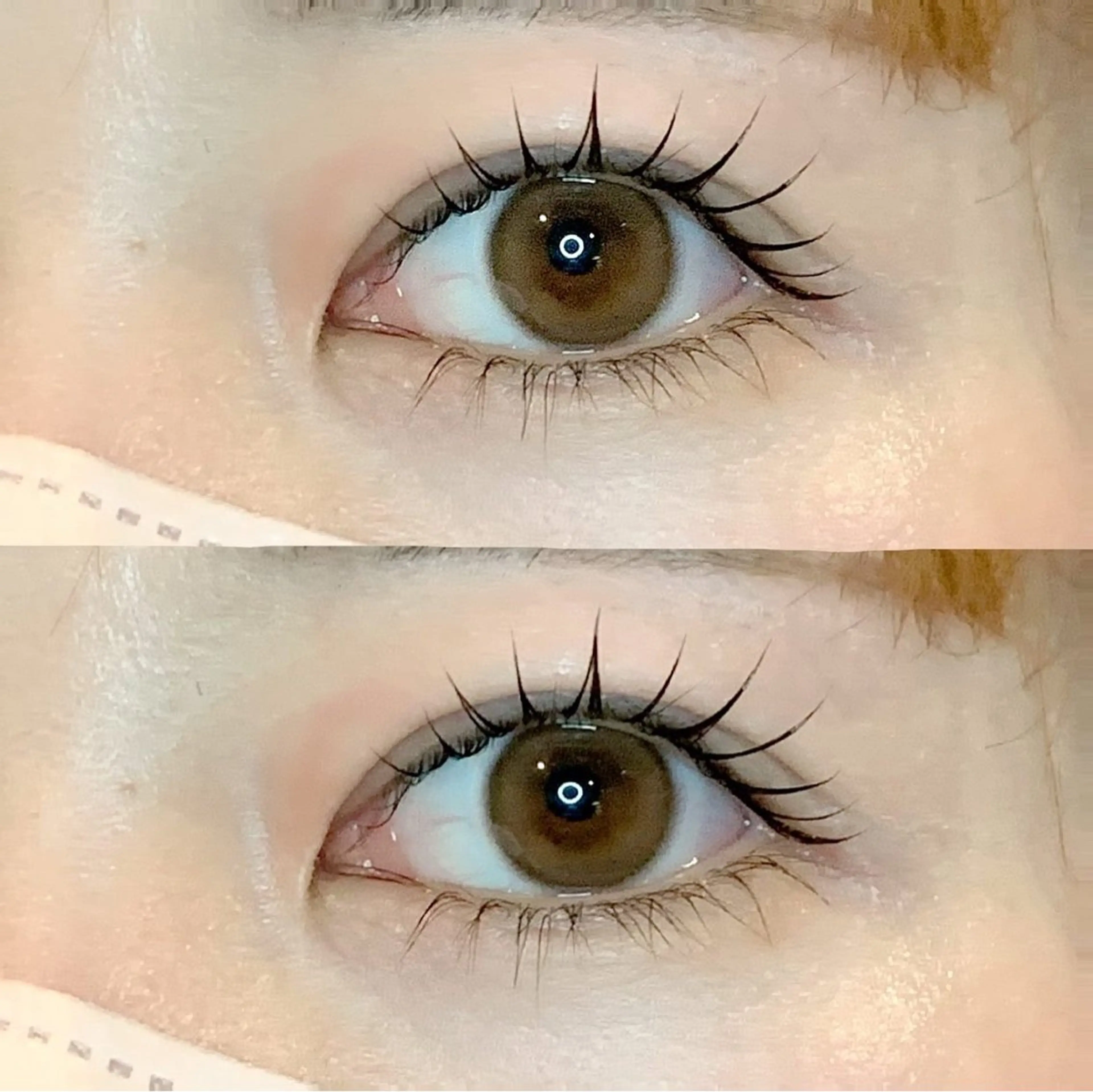 ✨セット✨まつげパーマ＋アイブロウWAXの写真