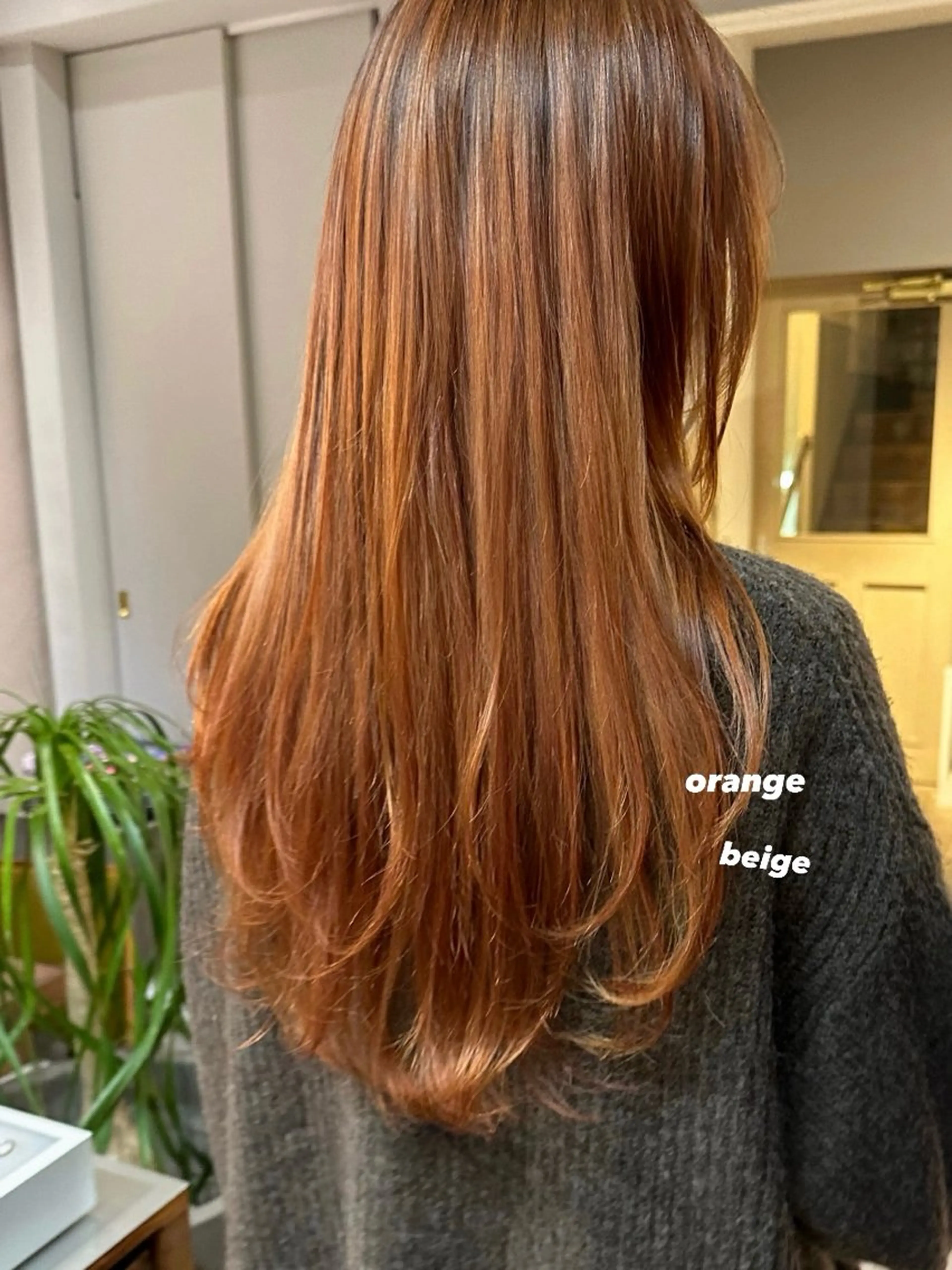 ロング カラー ダブルカラー ヘアカラー トリートメント 暖色/レイヤーカット 🌙オノユリカのヘアスタイル