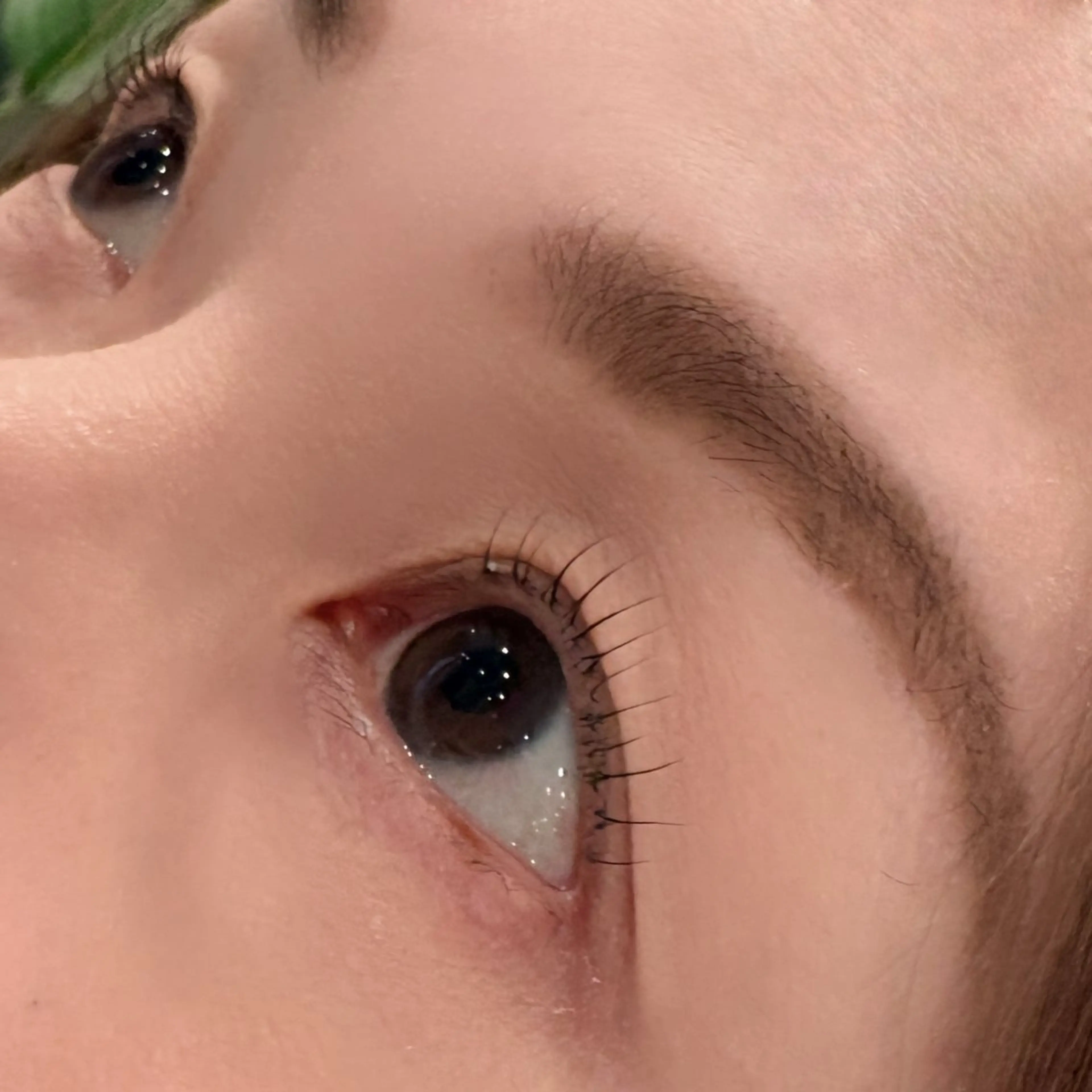 マツエク・マツパ マツパ ANY Eyelash 高砂店【パリジェンヌ・まつげパー マ・LED・眉毛】所属・ANY 🩶 Nanakoのマツエク・マツパデザイン